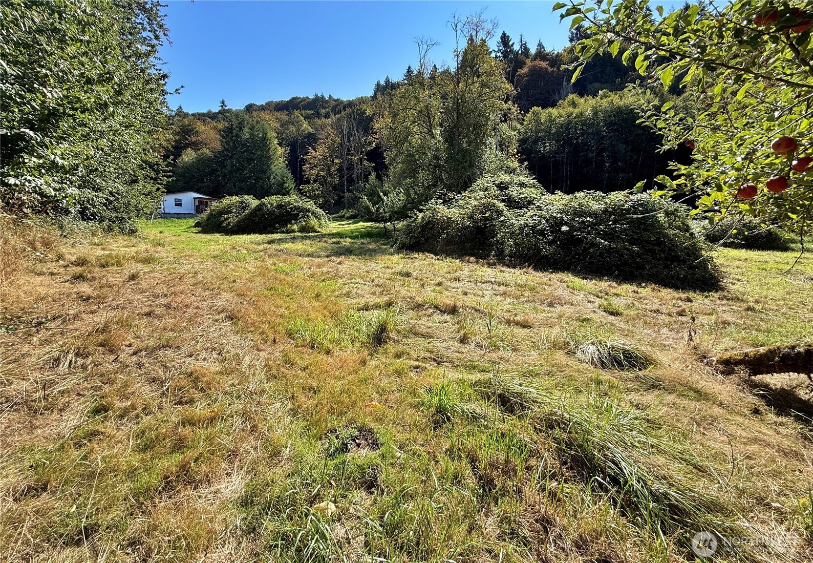 451 Green Mountain Road Property Photo 23