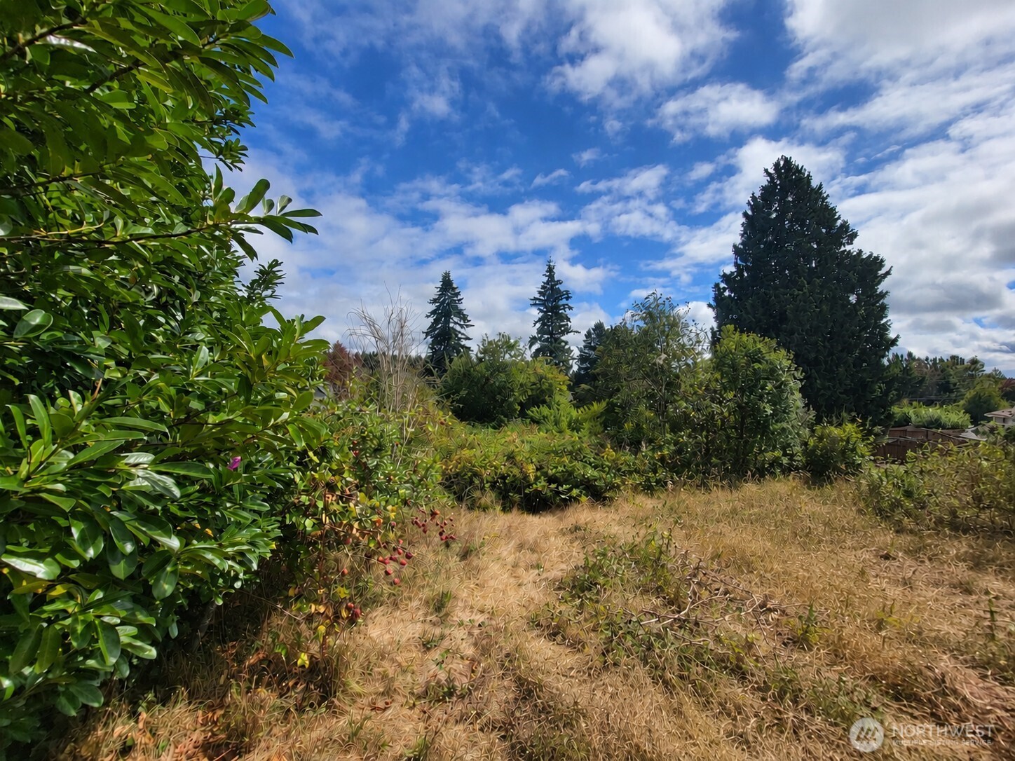 3460 Forest Drive Property Photo 21