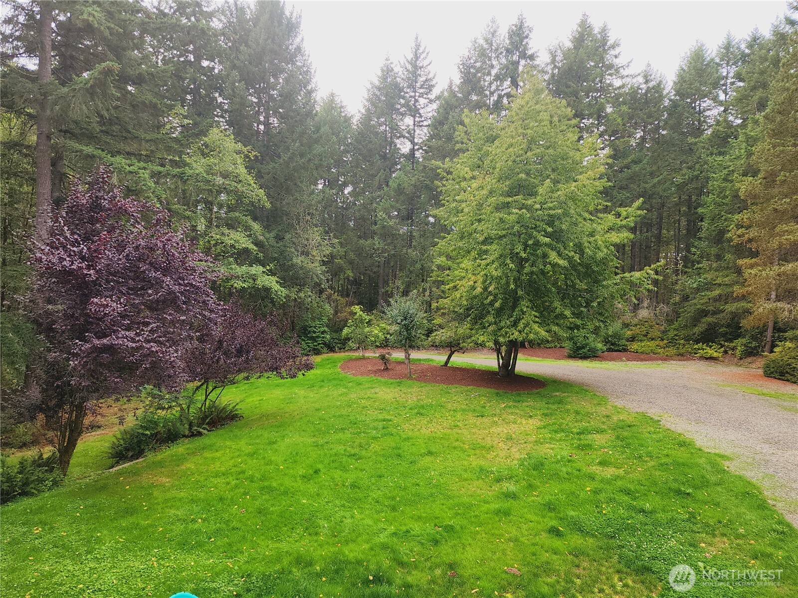 8120 Berry Ridge Lane Property Photo 22