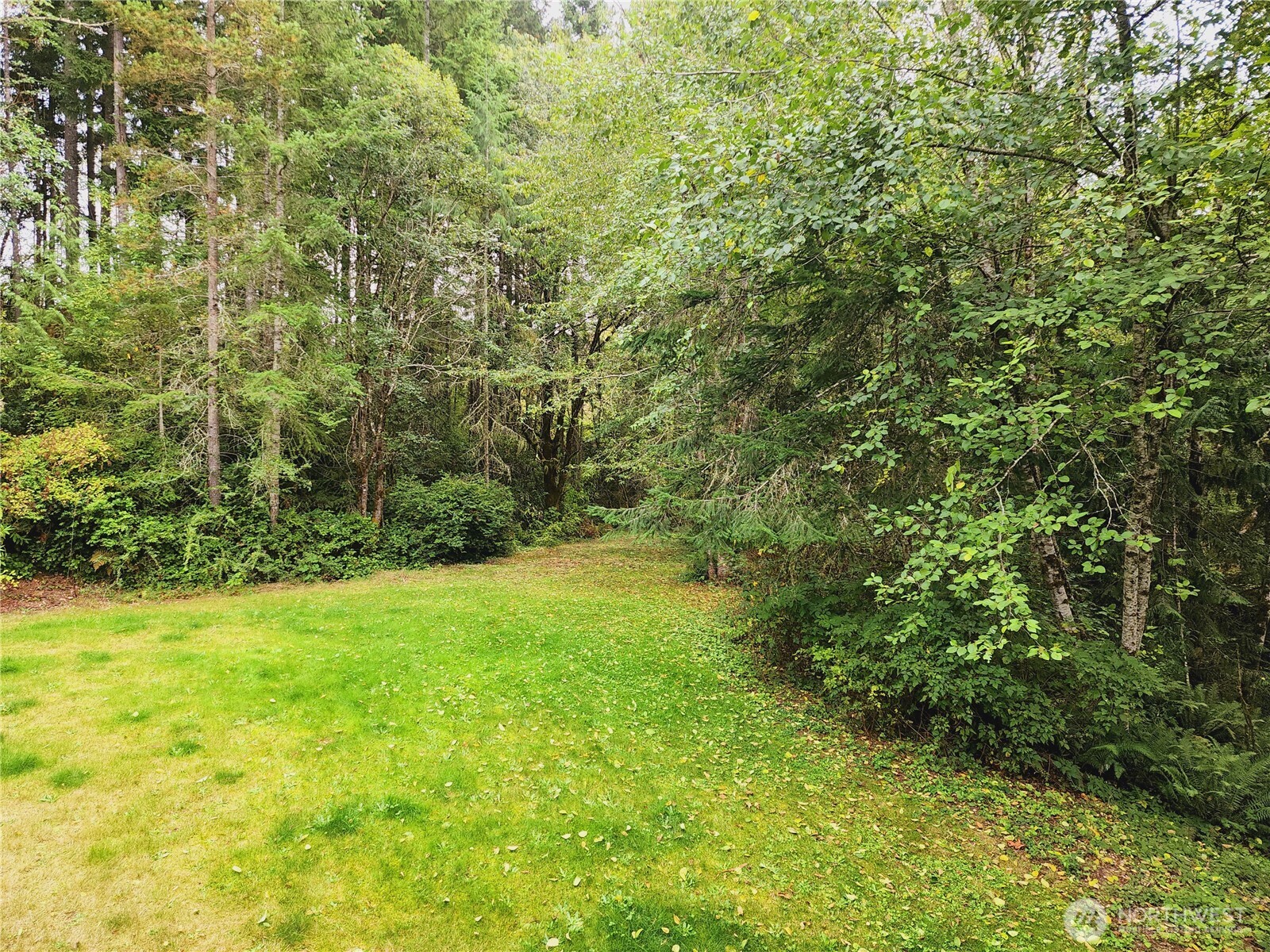8120 Berry Ridge Lane Property Photo 28