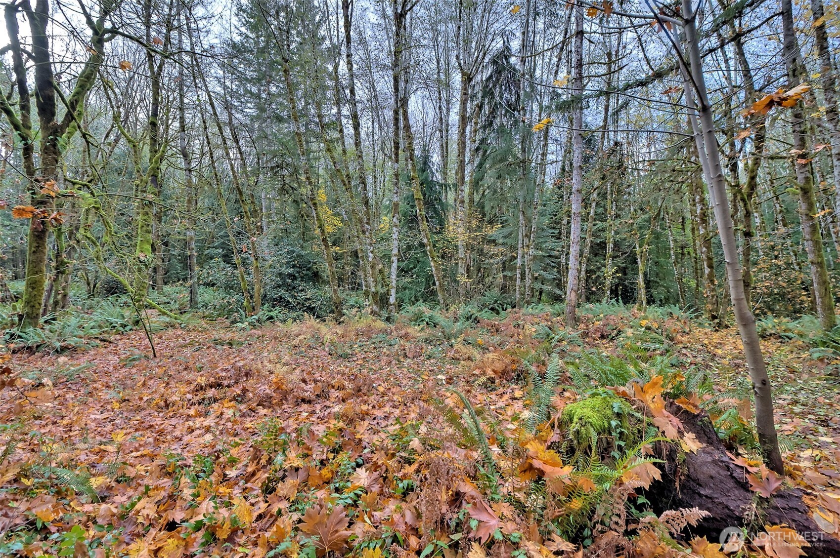 120 Se Sells Drive Property Photo 17