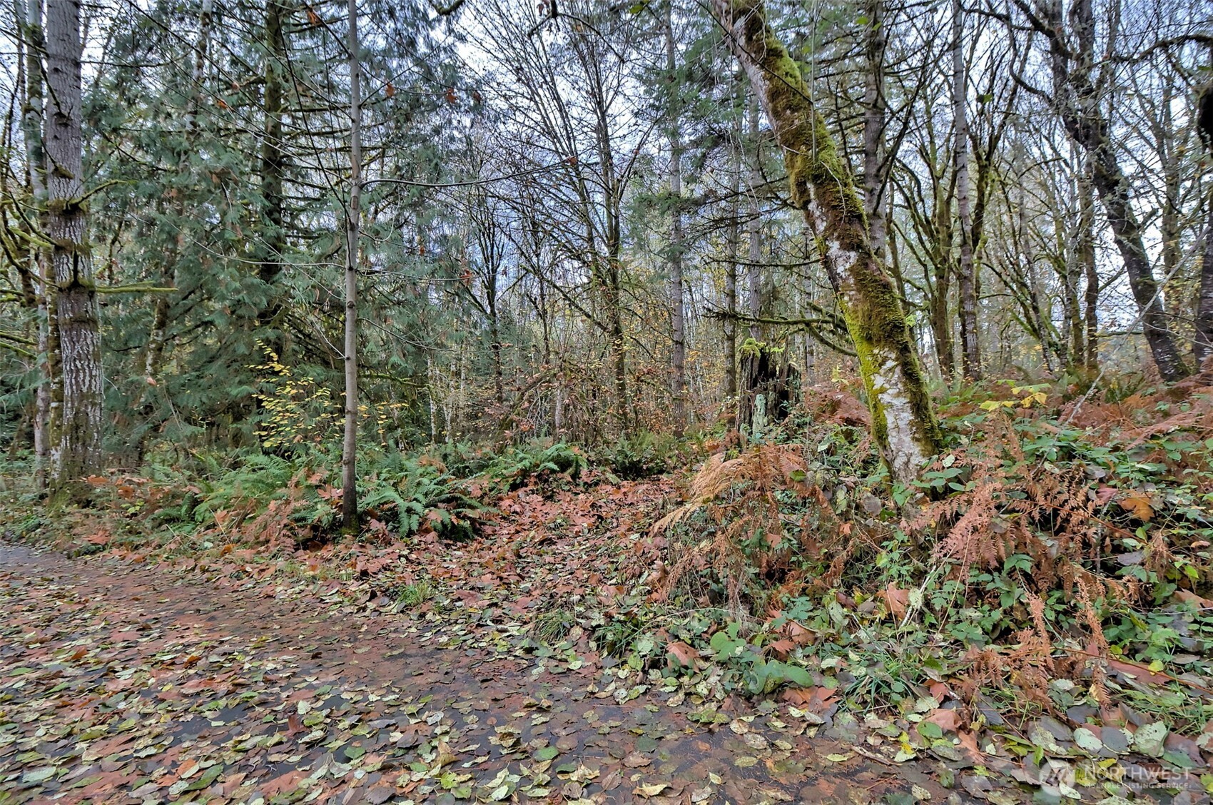 120 Se Sells Drive Property Photo 19