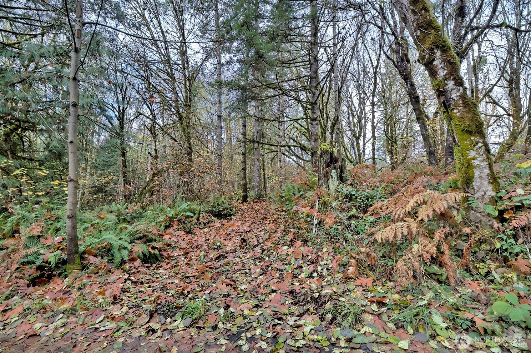 120 Se Sells Drive Property Photo 20