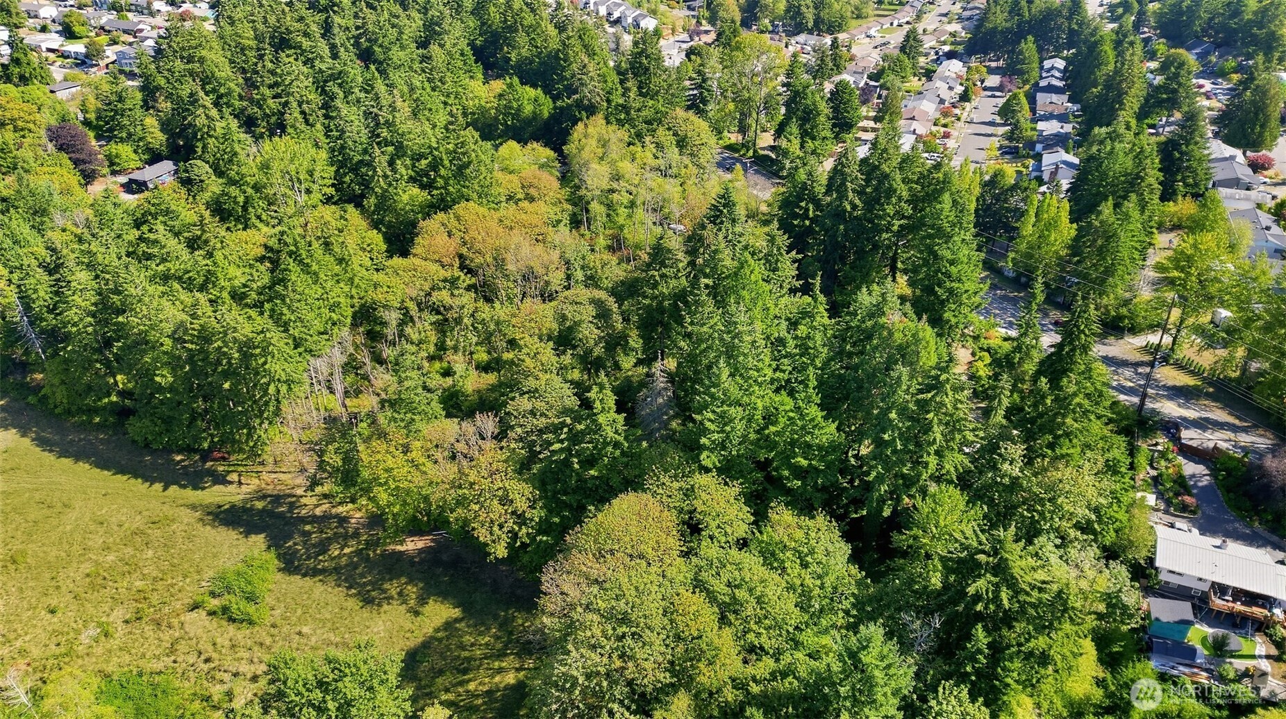 26061 Military Road Property Photo 8