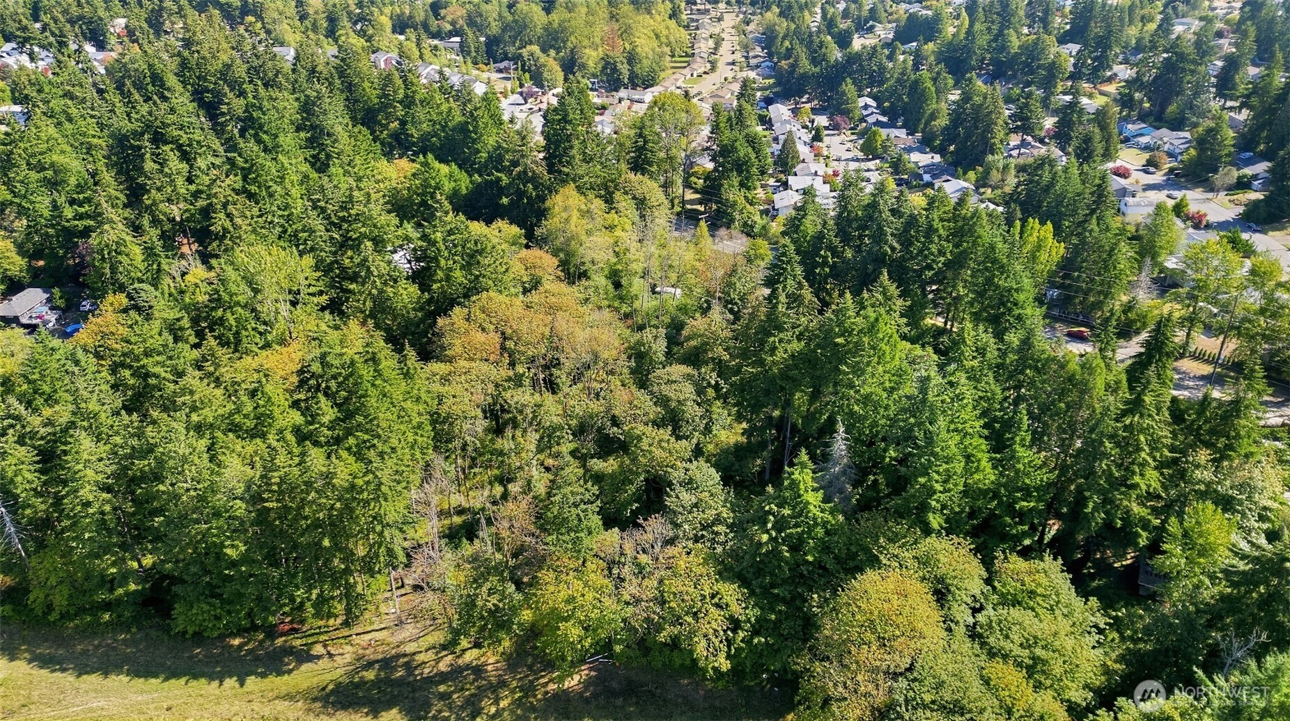 26061 Military Road Property Photo 9