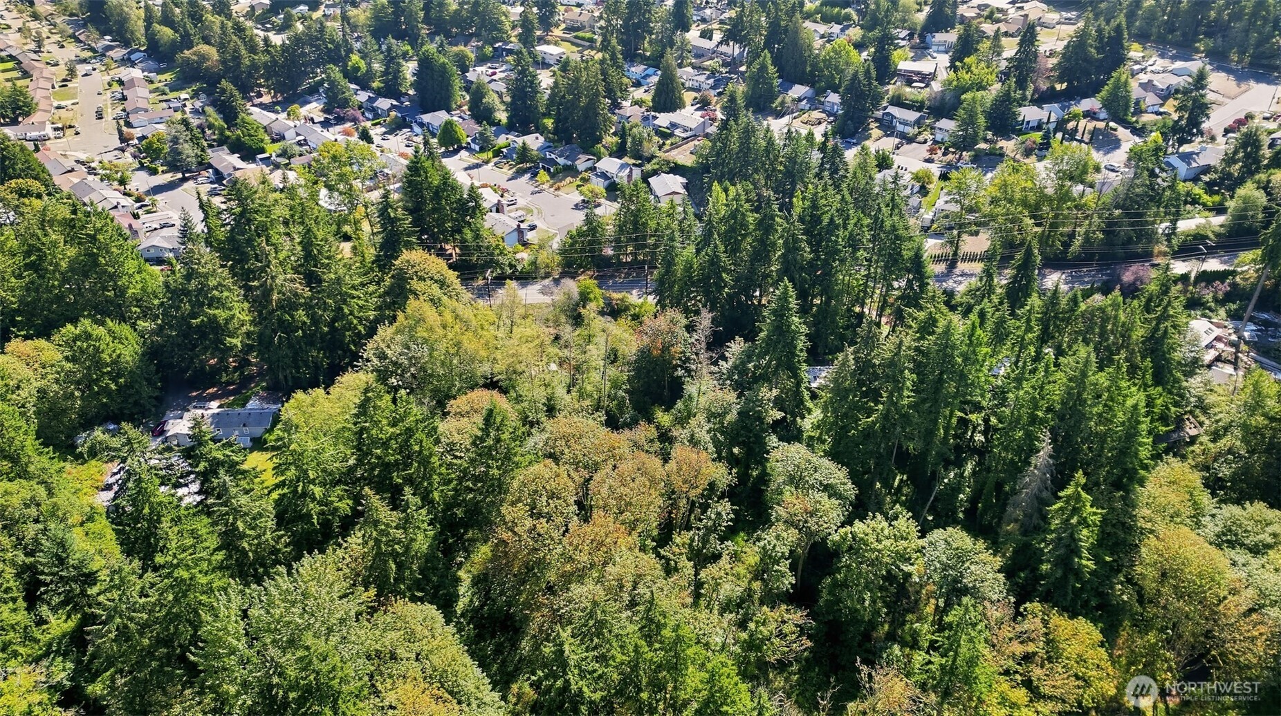 26061 Military Road Property Photo 10