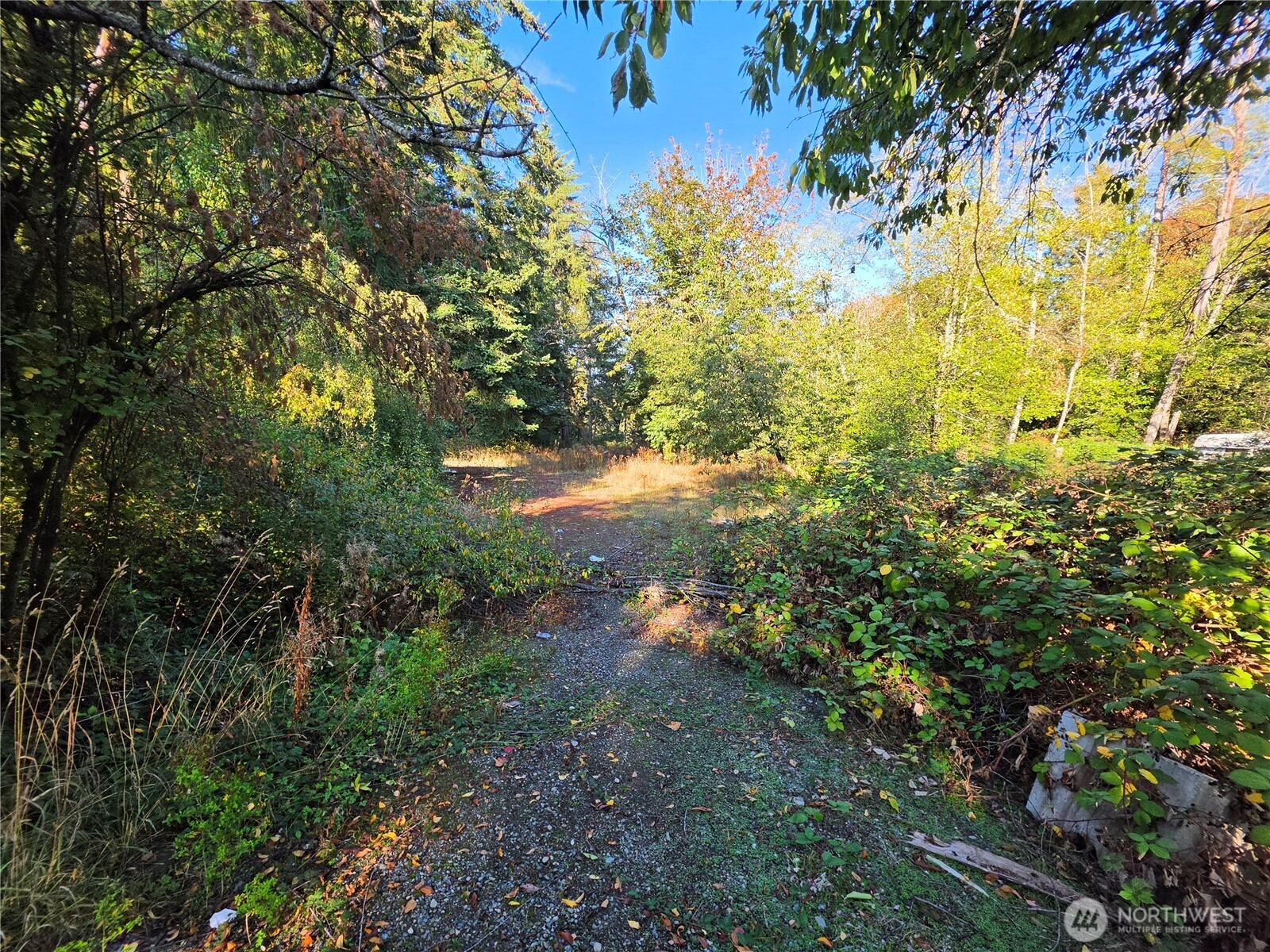 26061 Military Road Property Photo 21