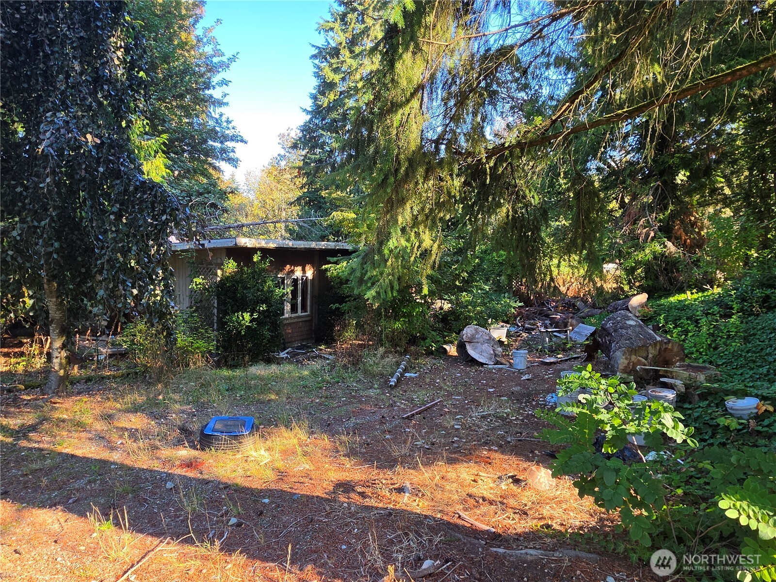 26061 Military Road Property Photo 24