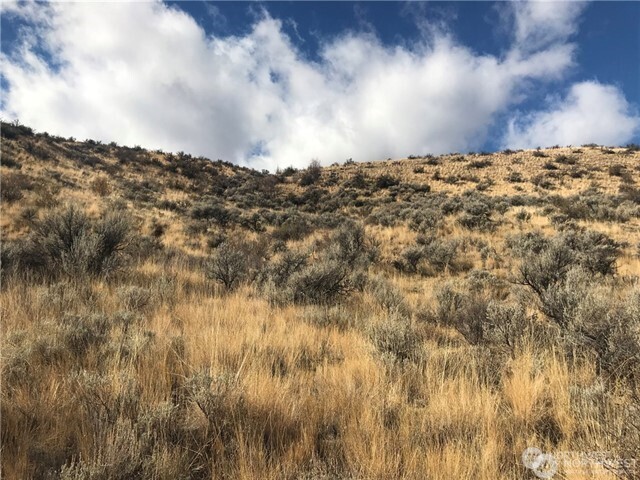 0 Goldfish Gulch Road Property Photo 1