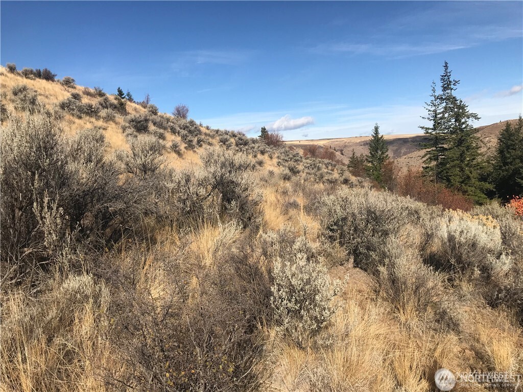 0 Goldfish Gulch Road Property Photo 2