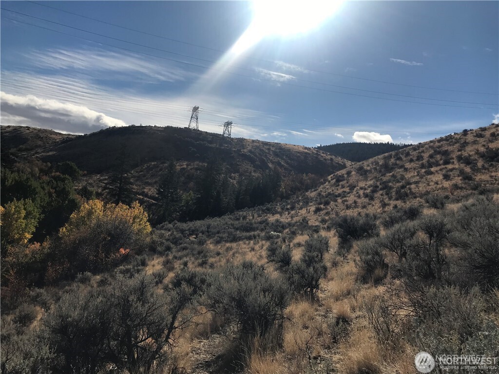 0 Goldfish Gulch Road Property Photo 3