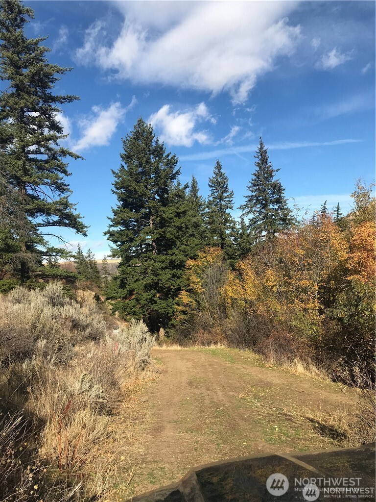 0 Goldfish Gulch Road Property Photo 4