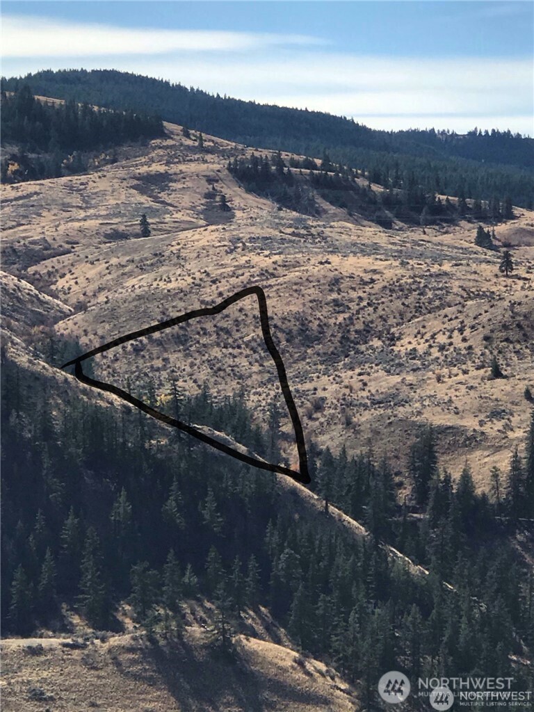 0 Goldfish Gulch Road Property Photo 6