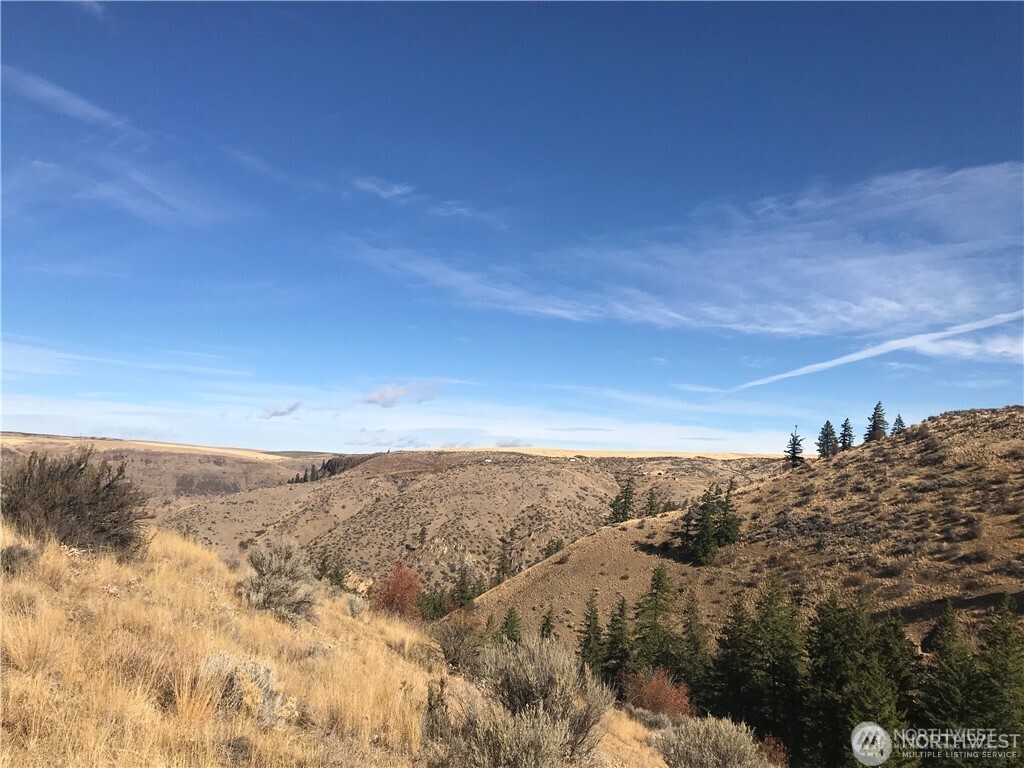 0 Goldfish Gulch Road Property Photo 7