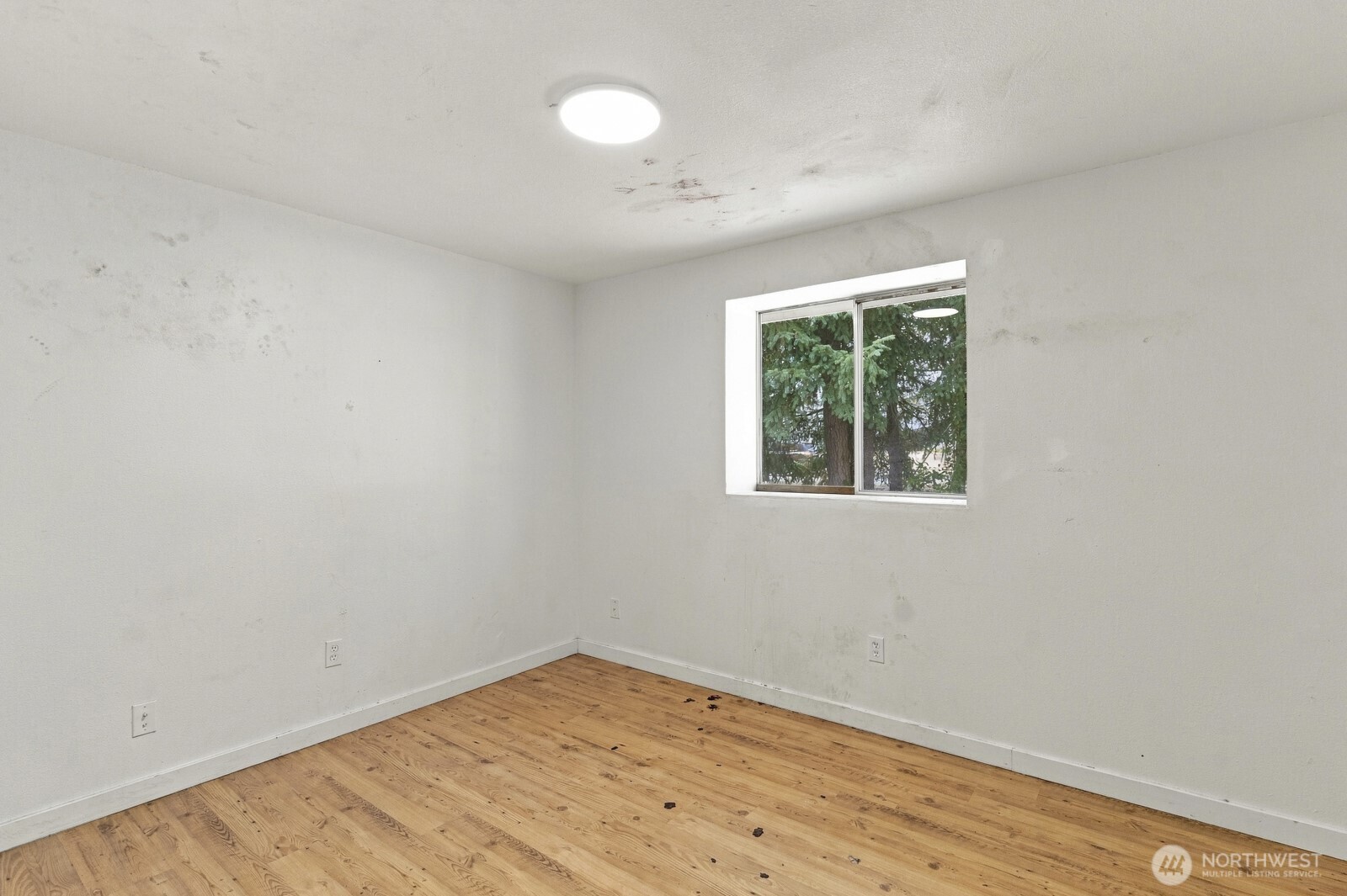 404 Edwards St Nw Property Photo 17