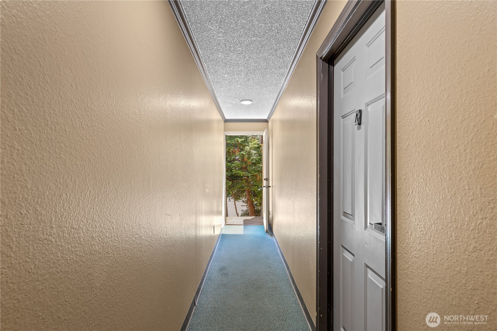 163 Etruria Street Property Photo 20