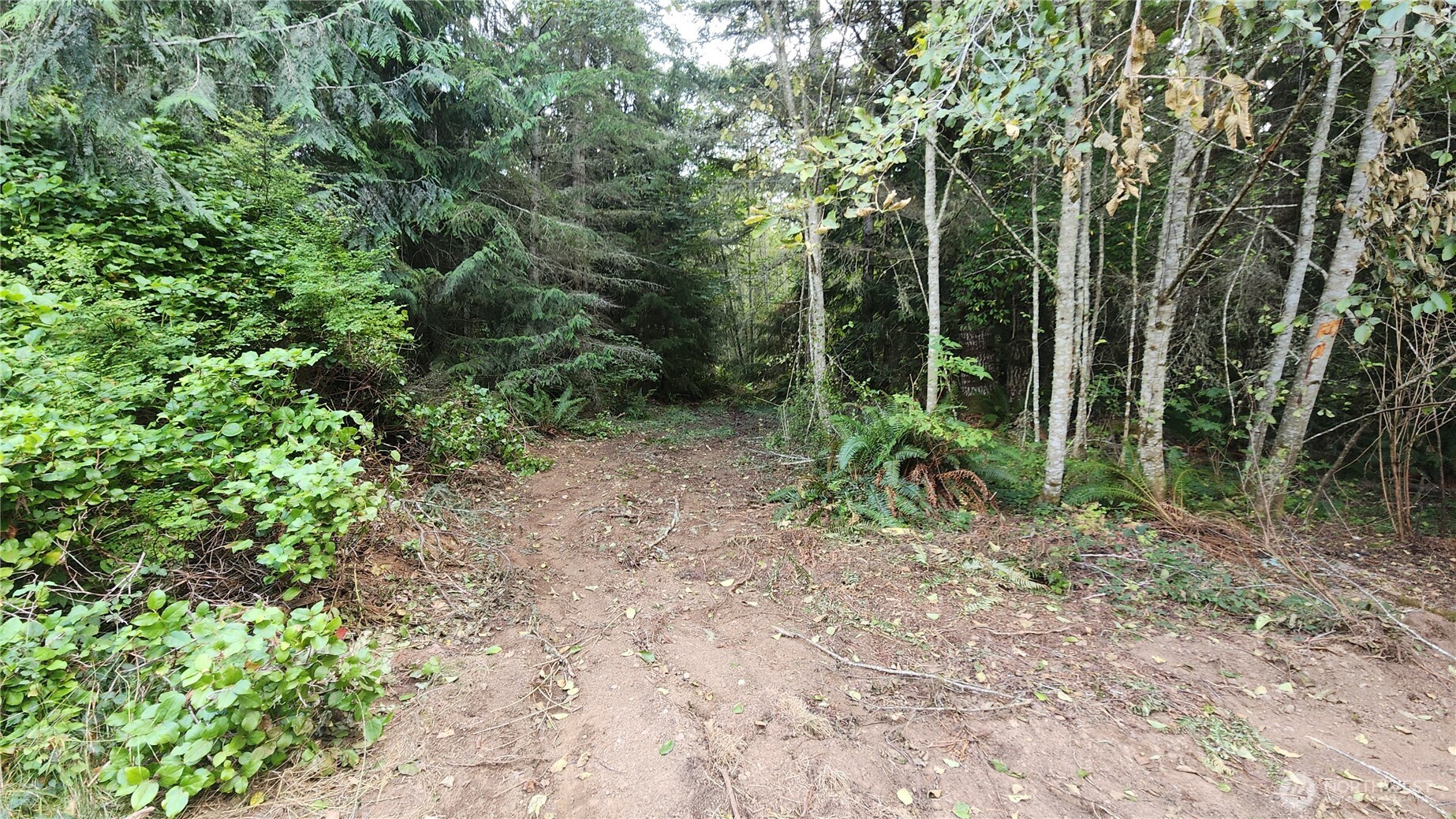 9999 Gossett Road Property Photo 2