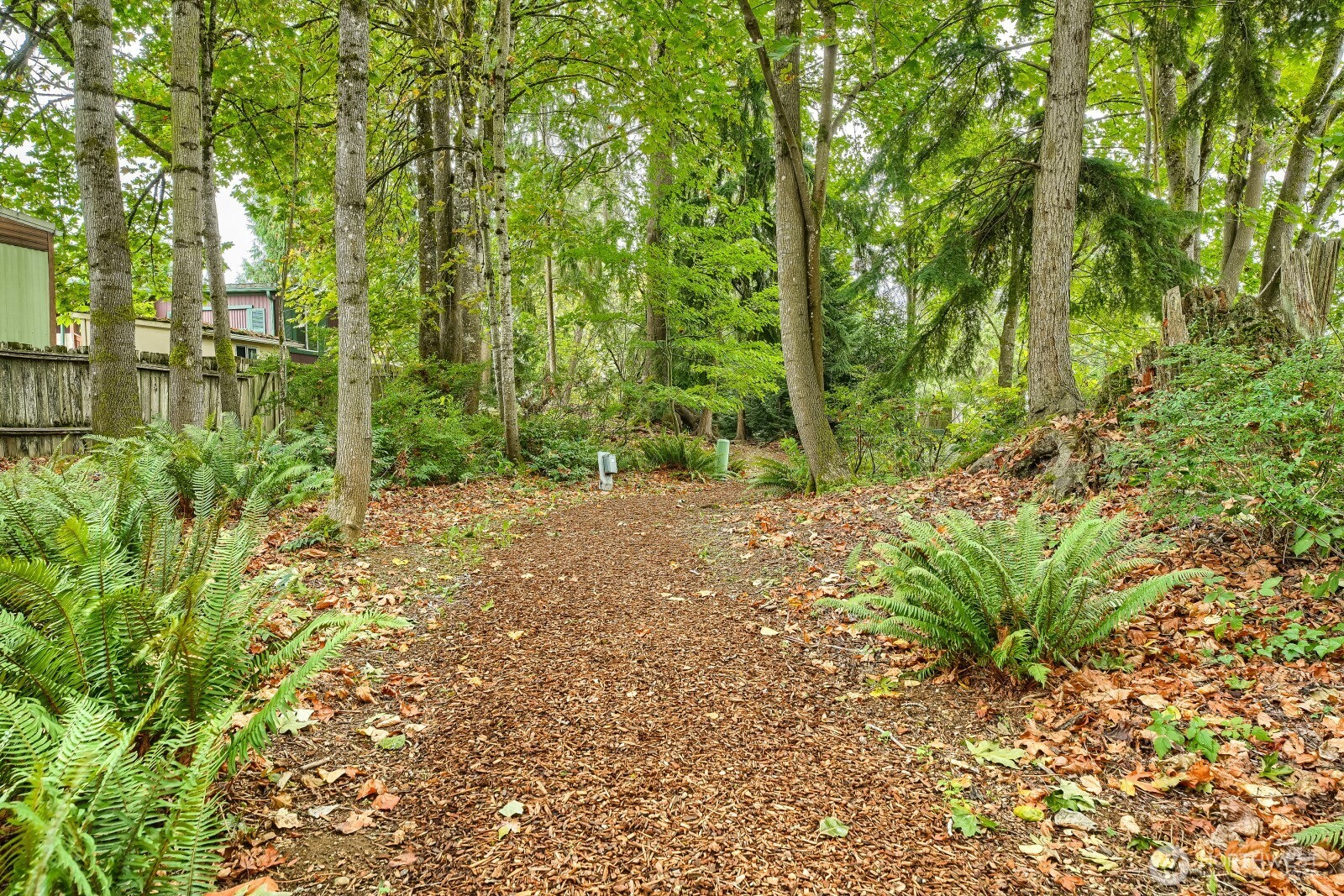 22615 114th Avenue Property Photo 26