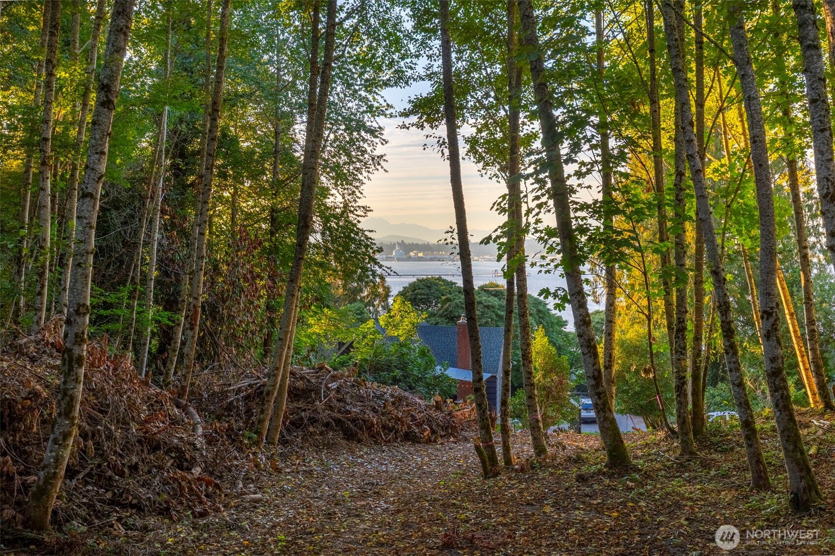 1160 Beach Drive Property Photo 8