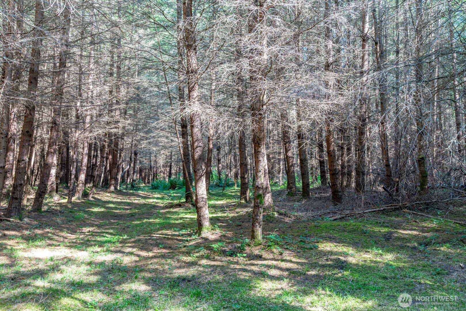 0 Anoasis Place Property Photo 7