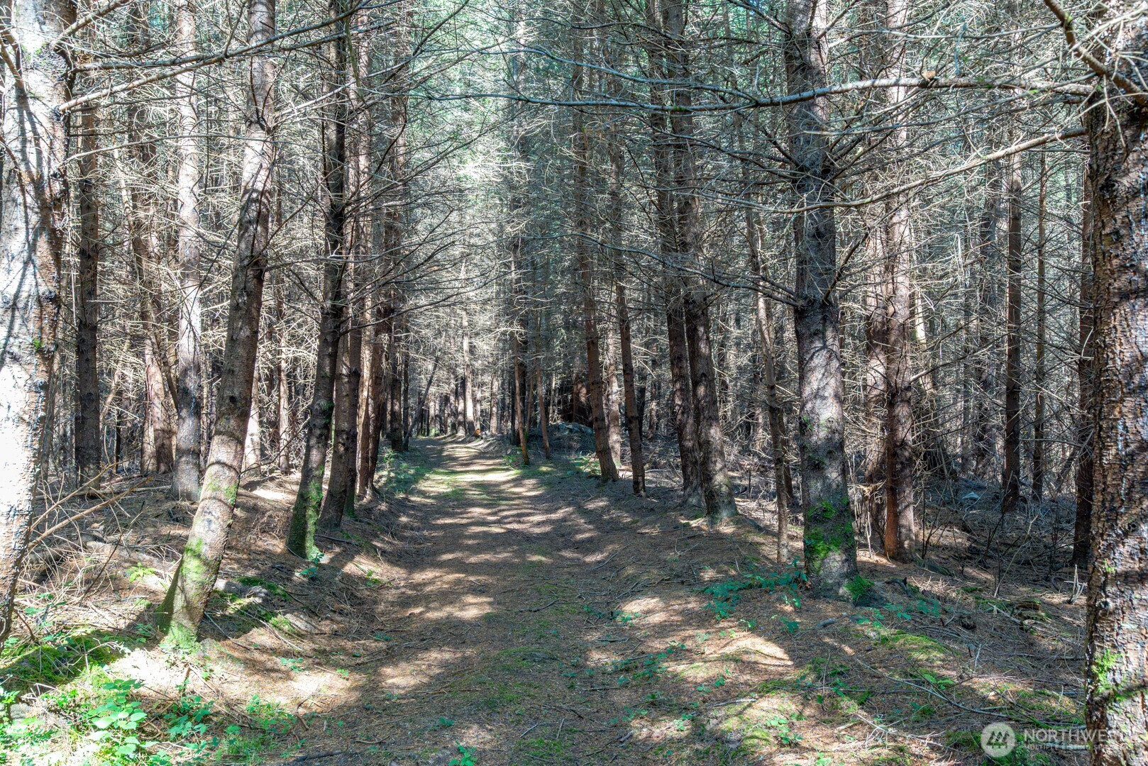 0 Anoasis Place Property Photo 8