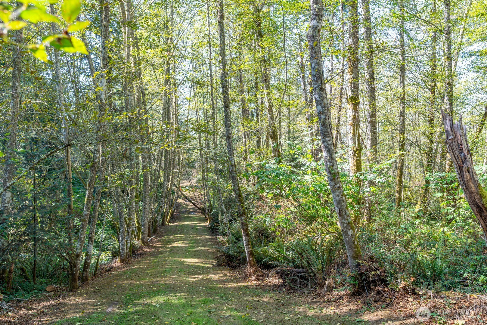 0 Anoasis Place Property Photo 11