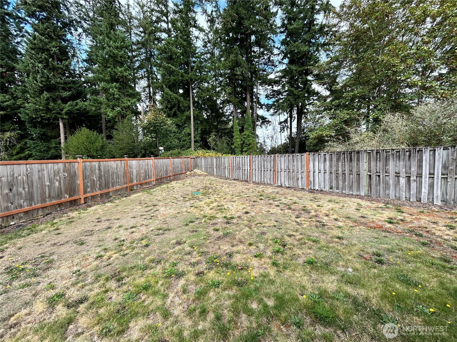 2708 Alderbrook Court Property Photo 38