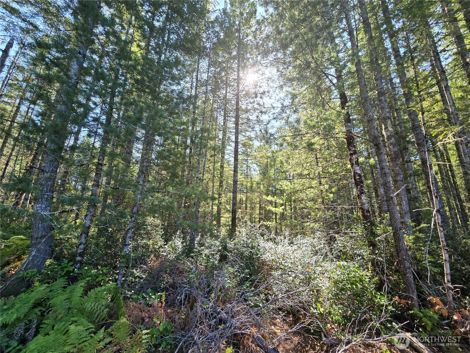 0 Xxx 5 Ac Ne Dewatto Hills Road Property Photo 1