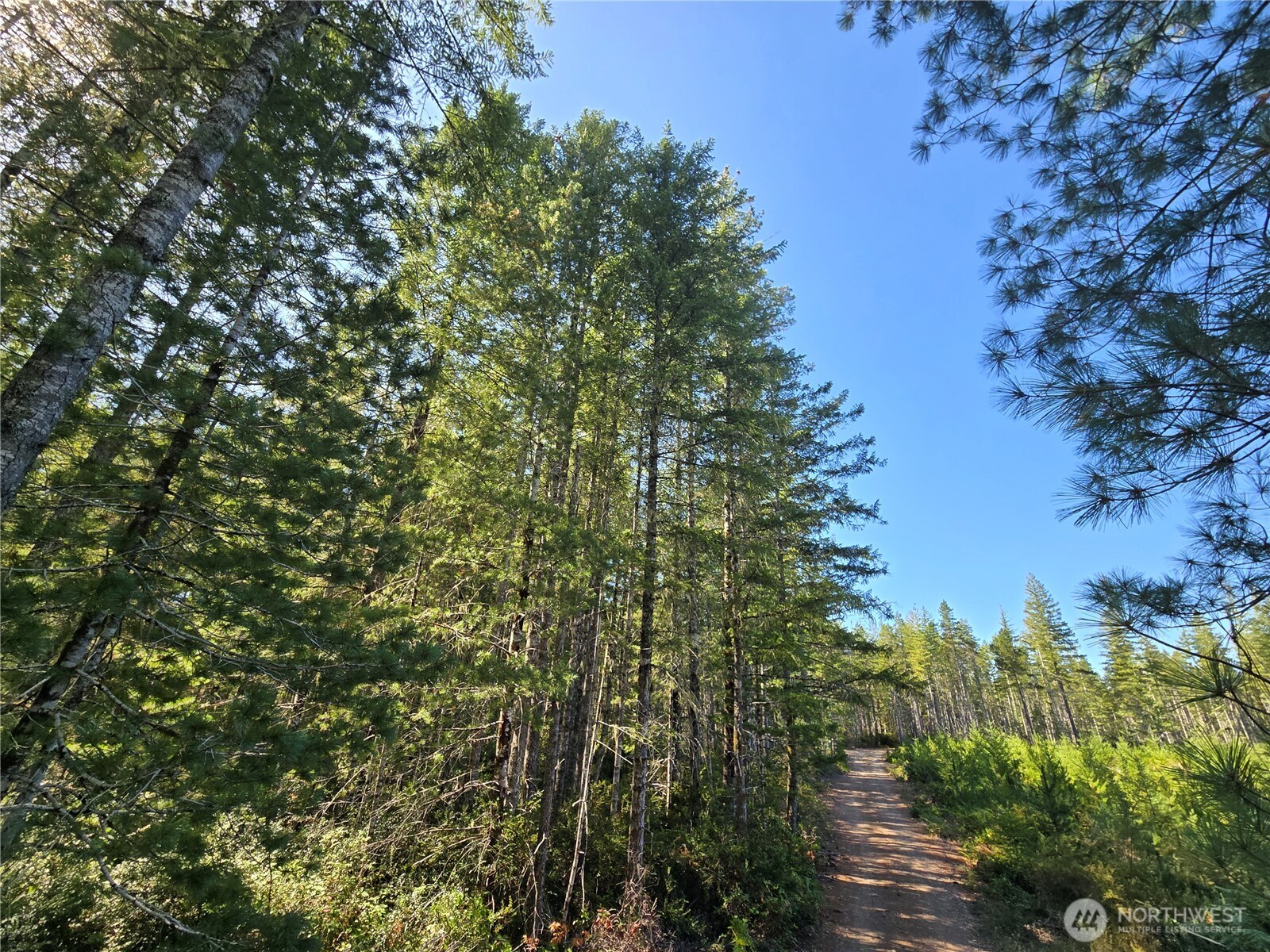 0 Xxx 5 Ac Ne Dewatto Hills Road Property Photo 3