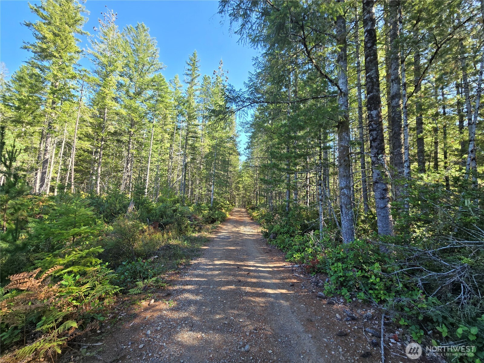 0 Xxx 5 Ac Ne Dewatto Hills Road Property Photo 4