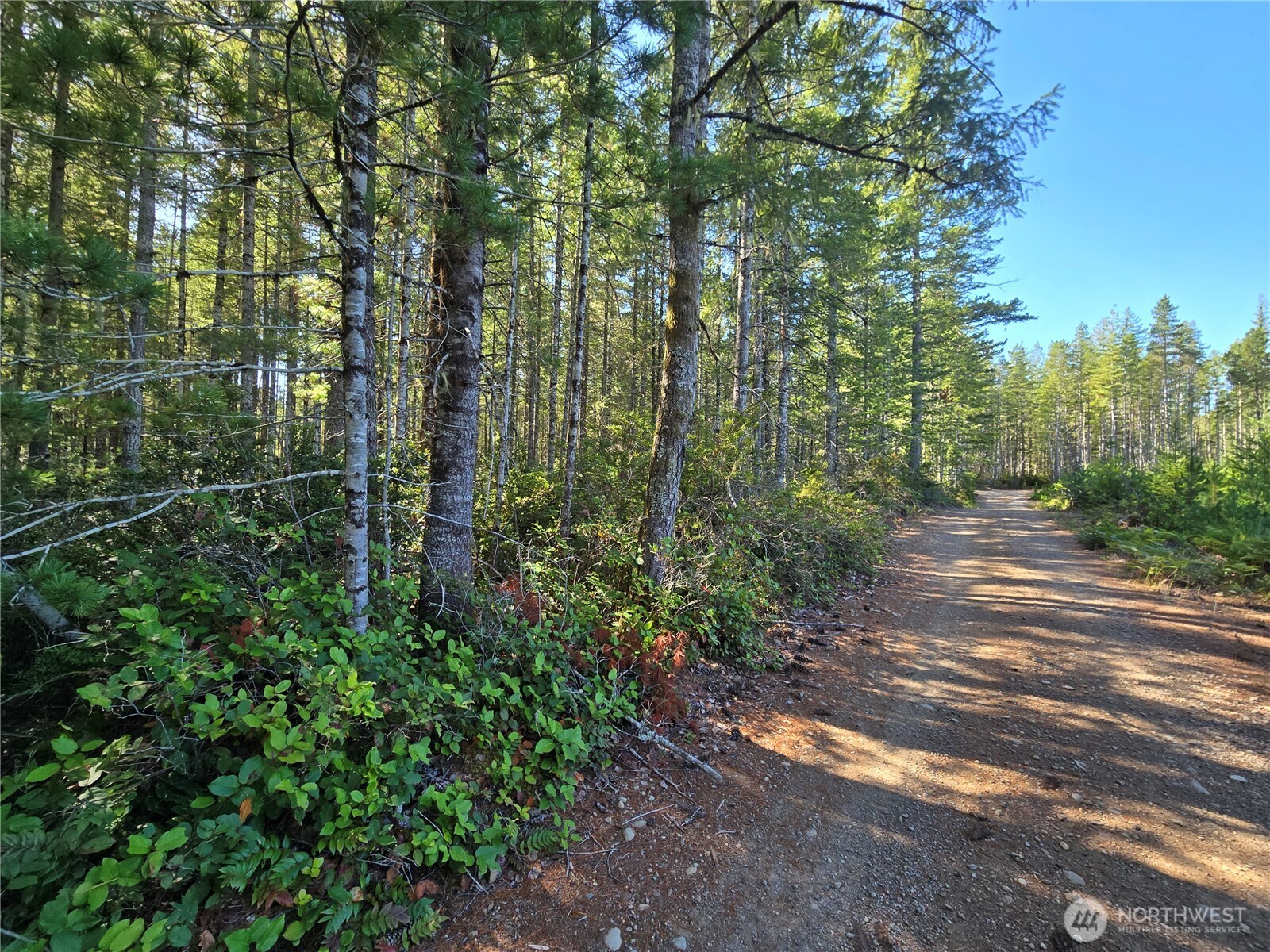 0 Xxx 5 Ac Ne Dewatto Hills Road Property Photo 6