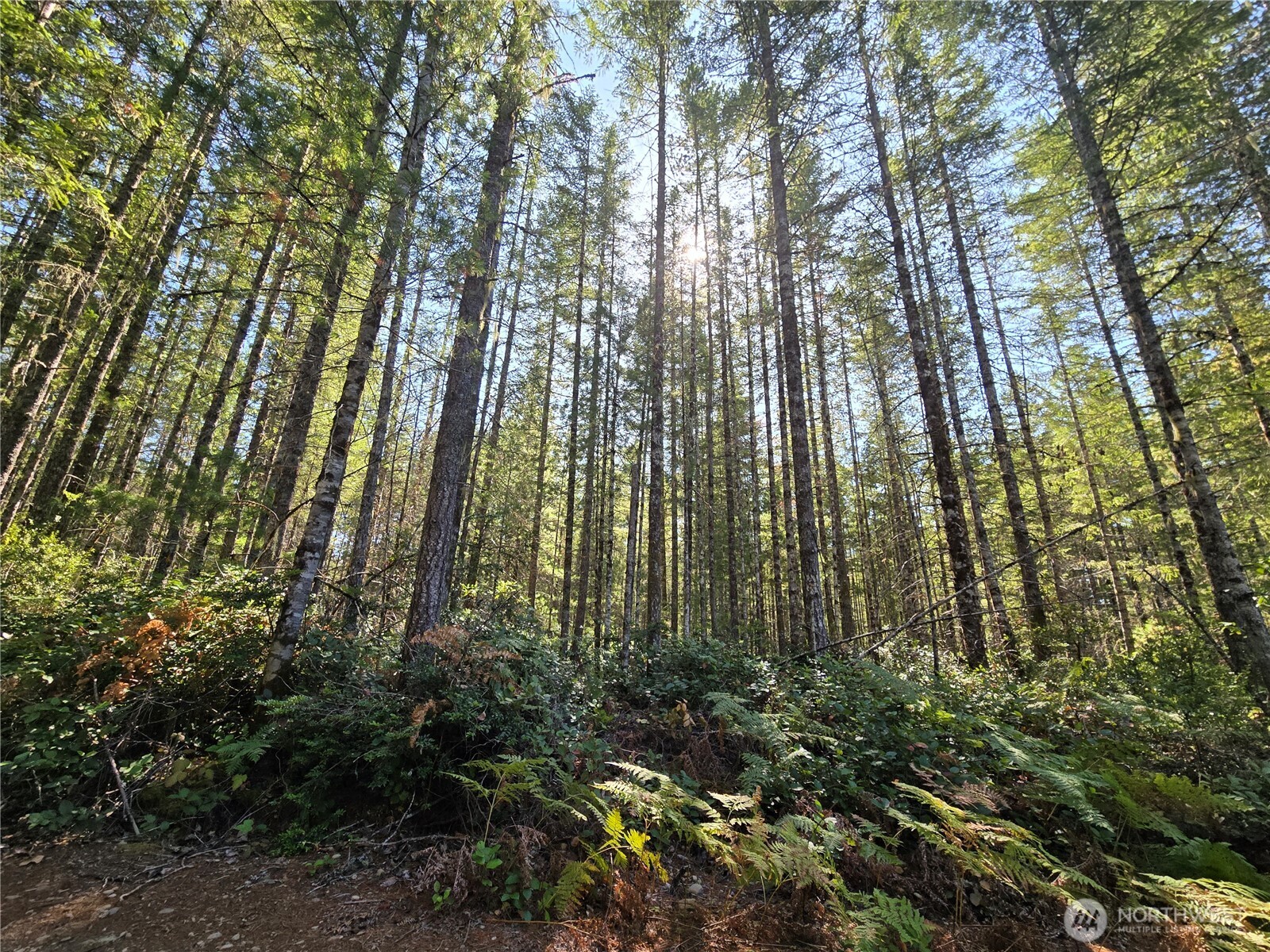 0 Xxx 5 Ac Ne Dewatto Hills Road Property Photo 7
