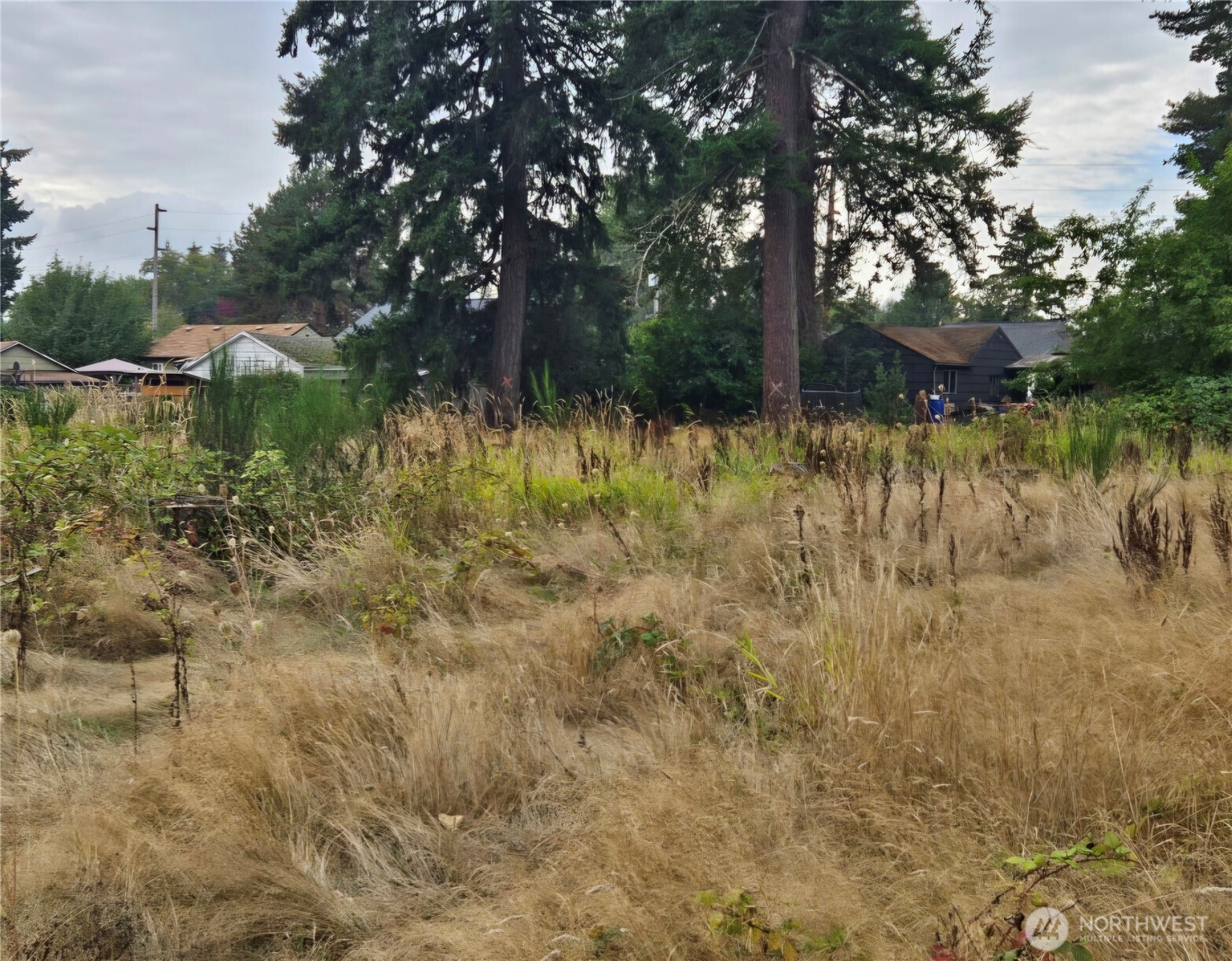 9114 E E Street Property Photo 2