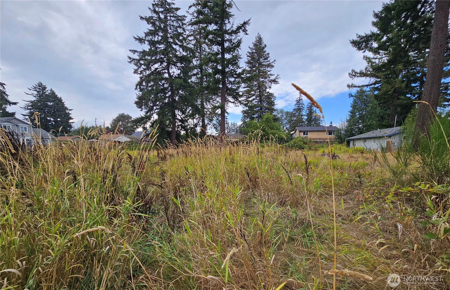 9114 E E Street Property Photo 5