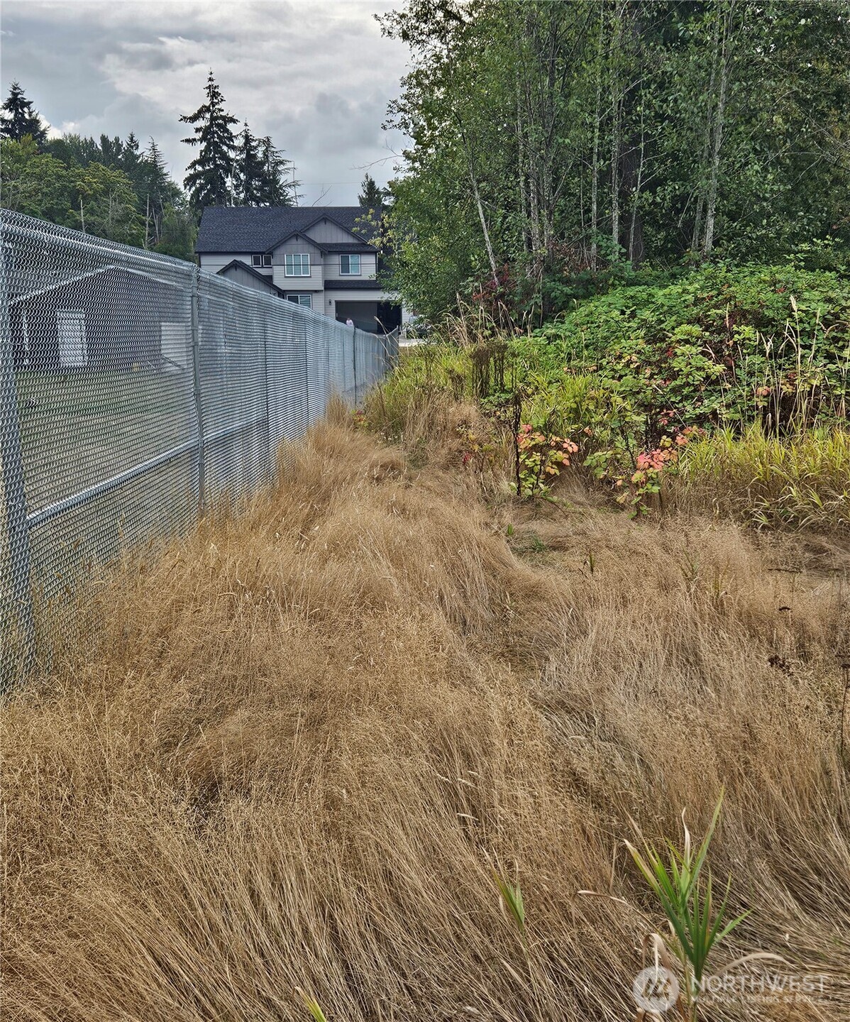 9114 E E Street Property Photo 6