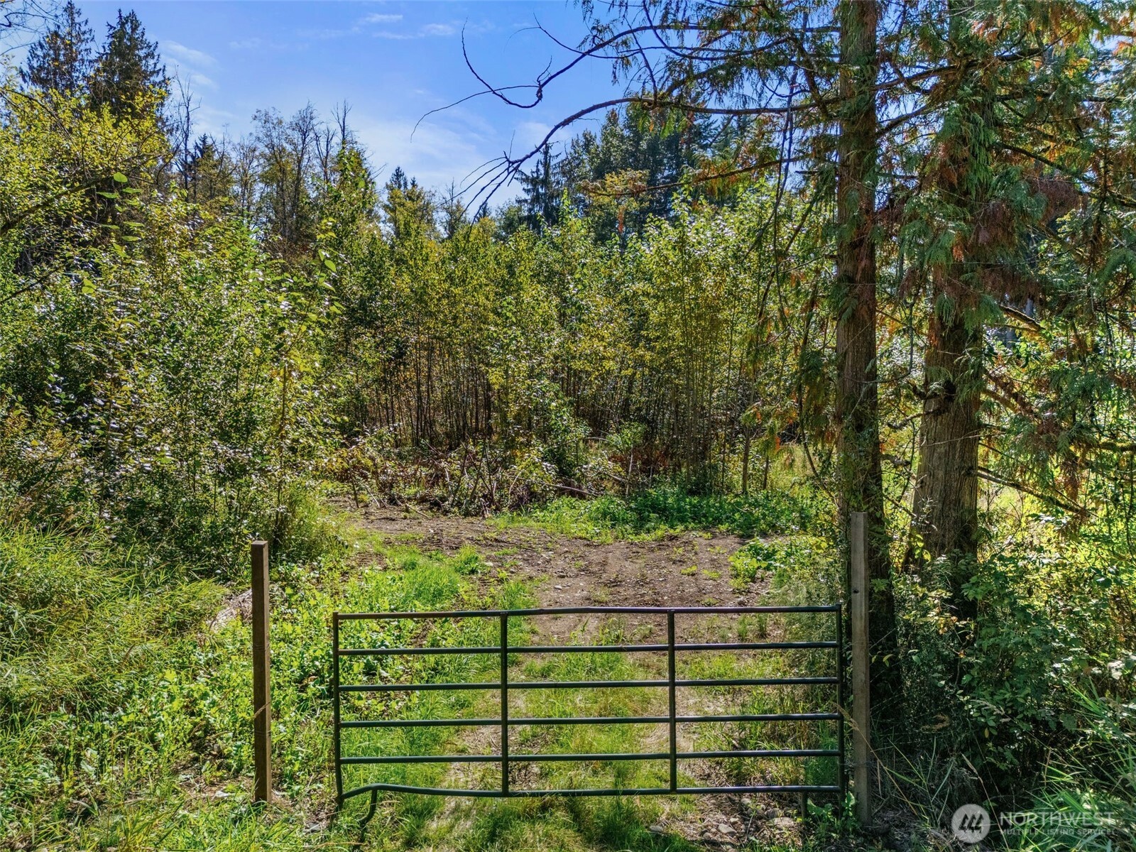 22014 Sumner Buckley Highway Property Photo 4