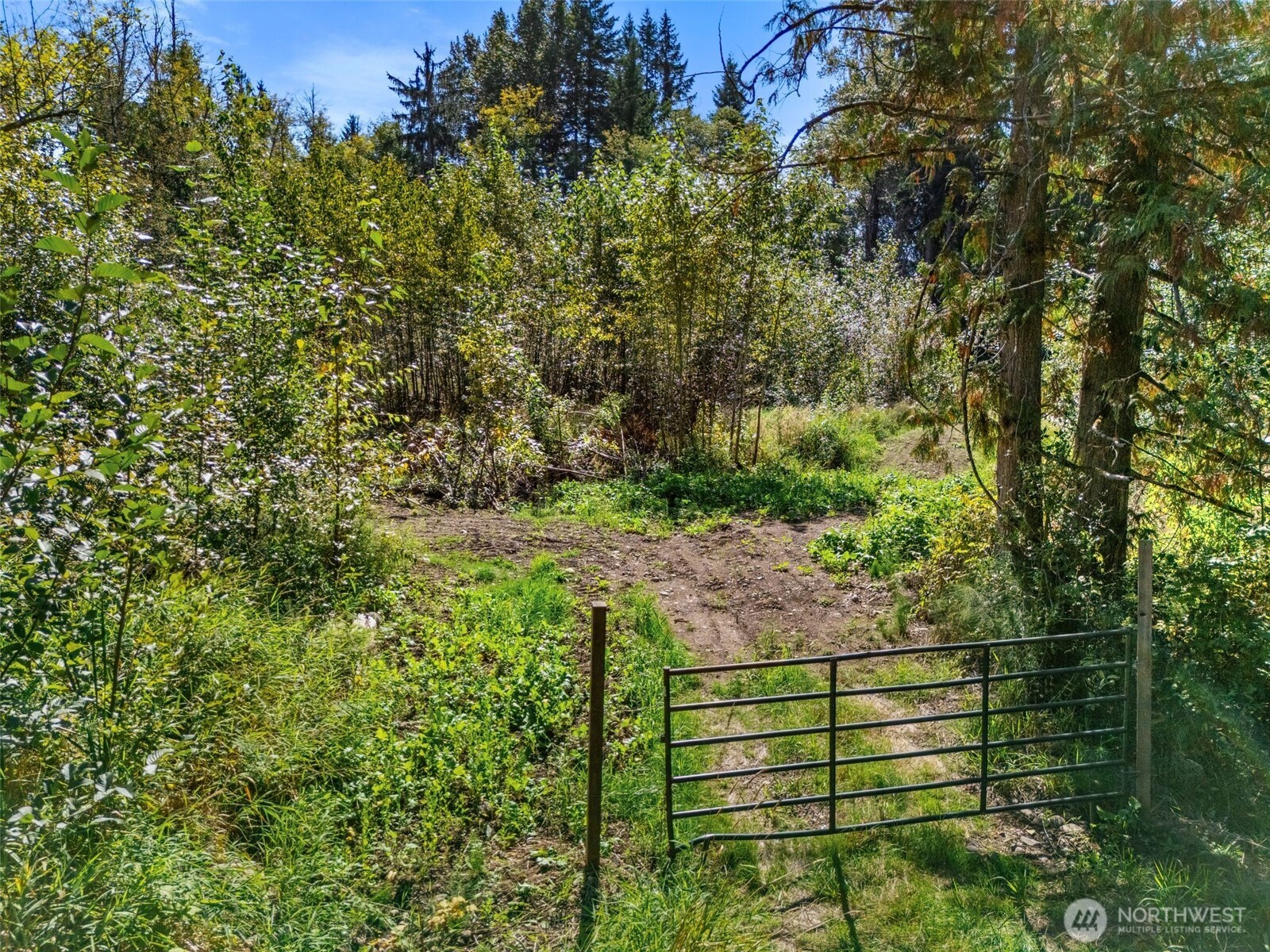 22014 Sumner Buckley Highway Property Photo 5