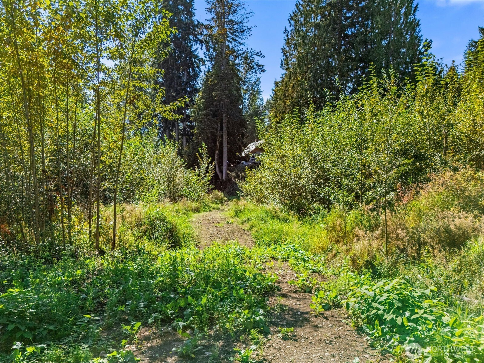 22014 Sumner Buckley Highway Property Photo 6