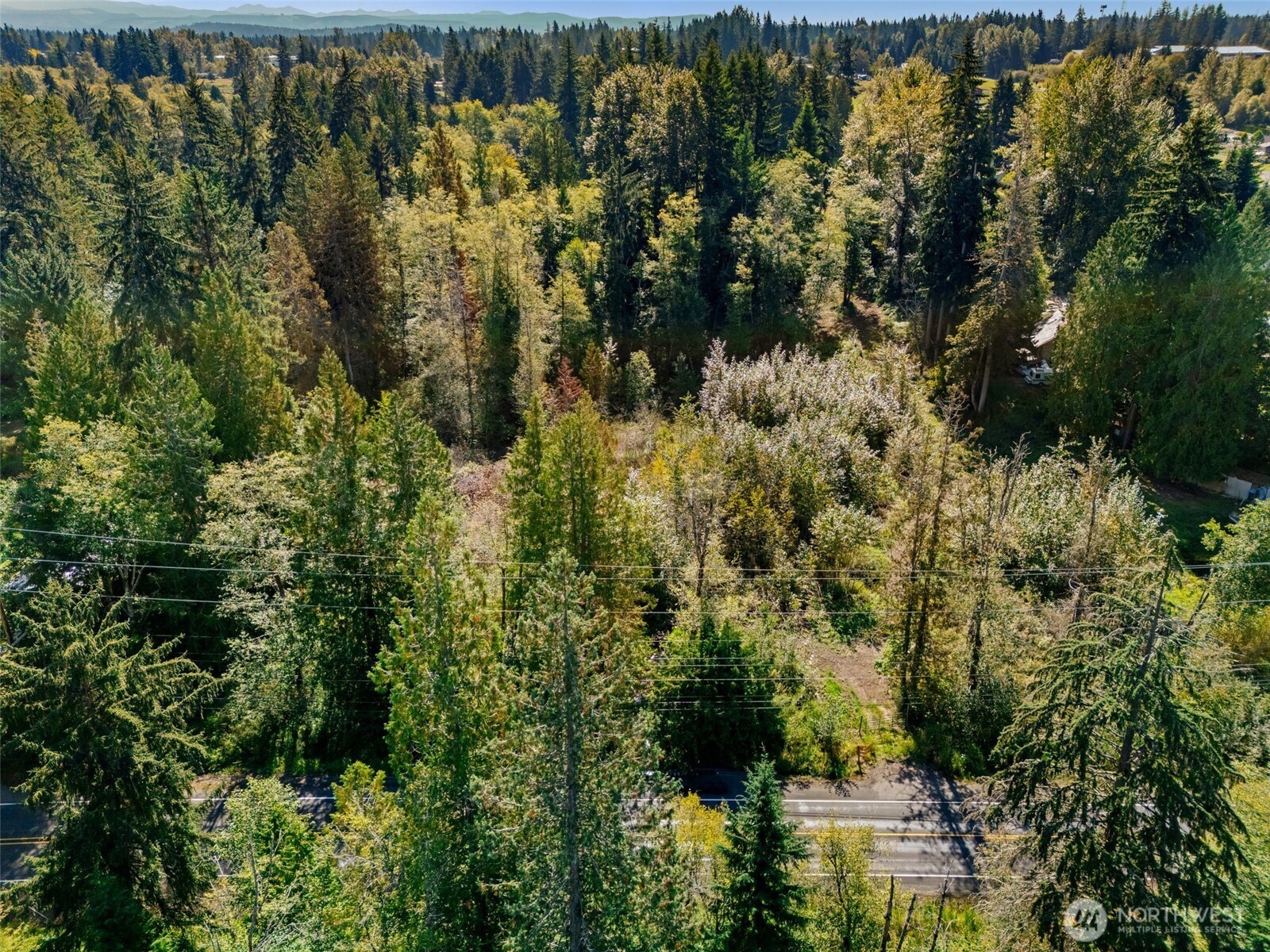 22014 Sumner Buckley Highway Property Photo 19