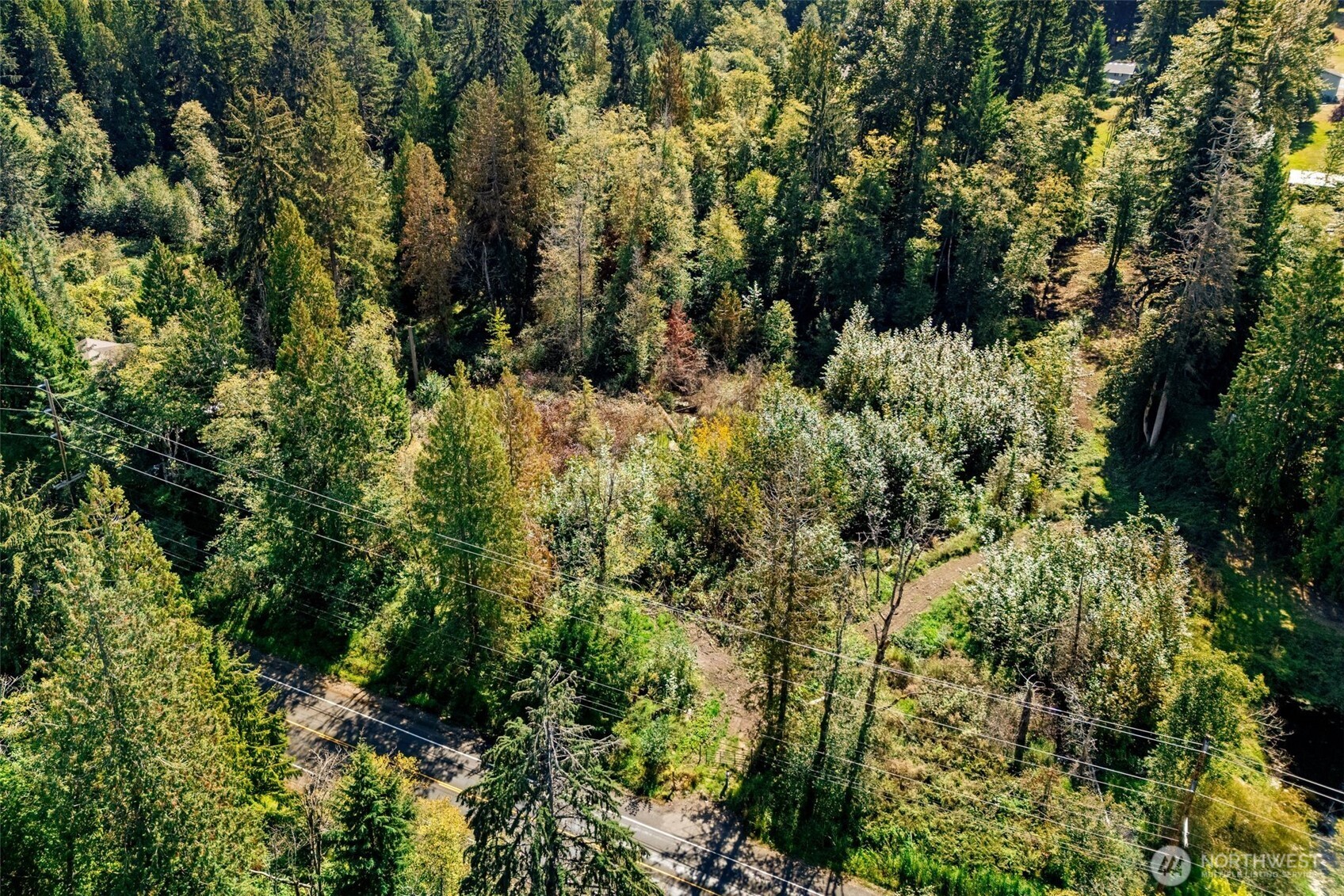 22014 Sumner Buckley Highway Property Photo 20