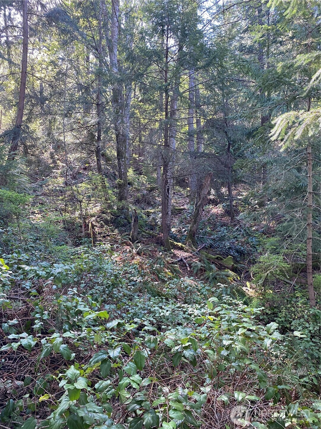 2861 Aiston Creek Rd Property Photo 4