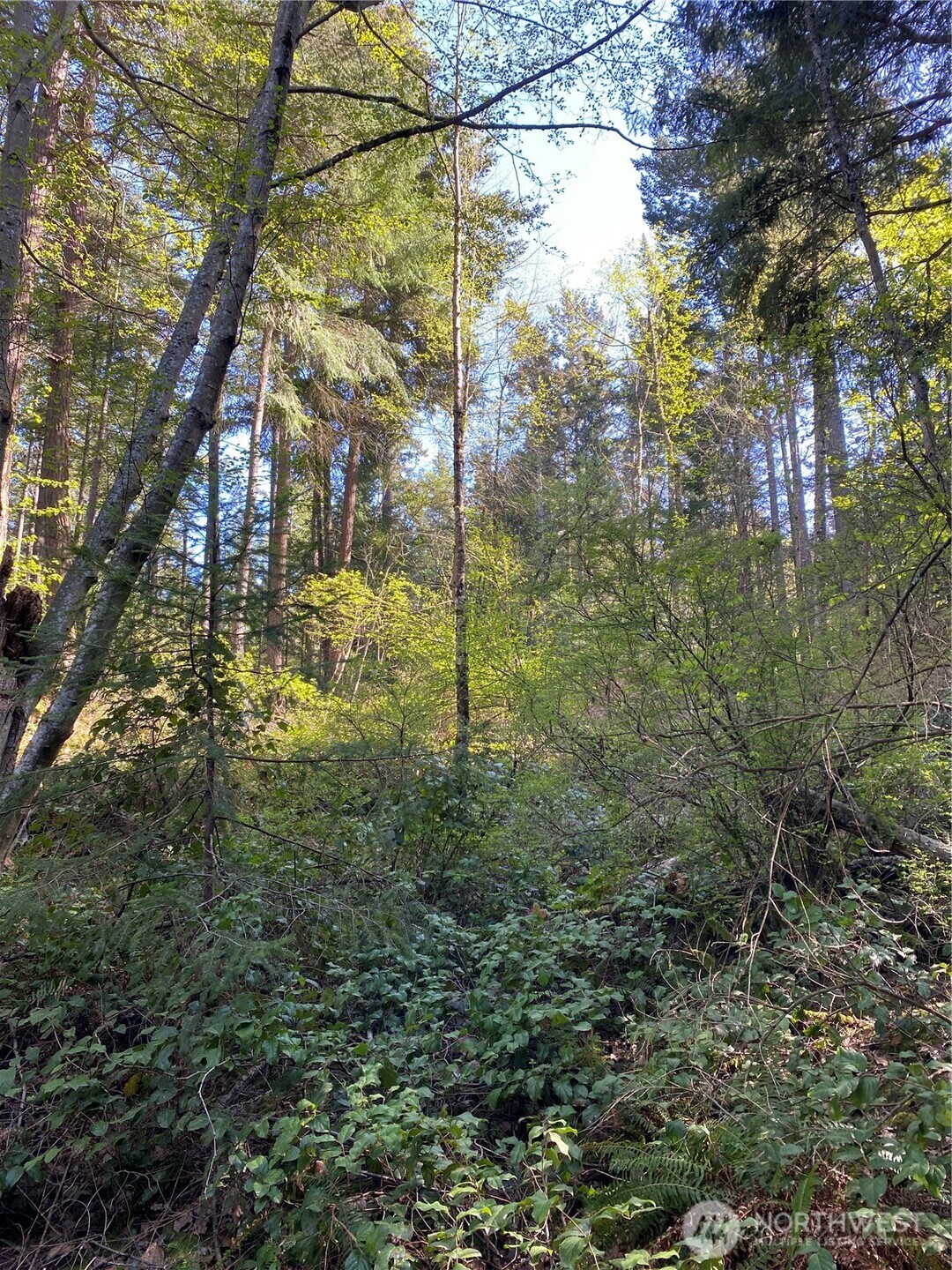 2861 Aiston Creek Rd Property Photo 5