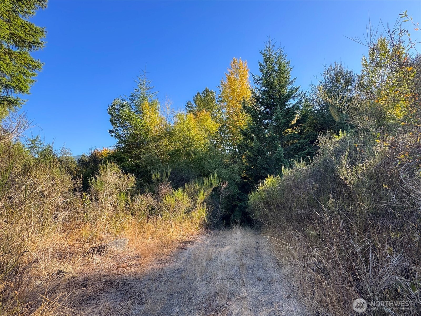 999 Chasewood Drive Property Photo 1