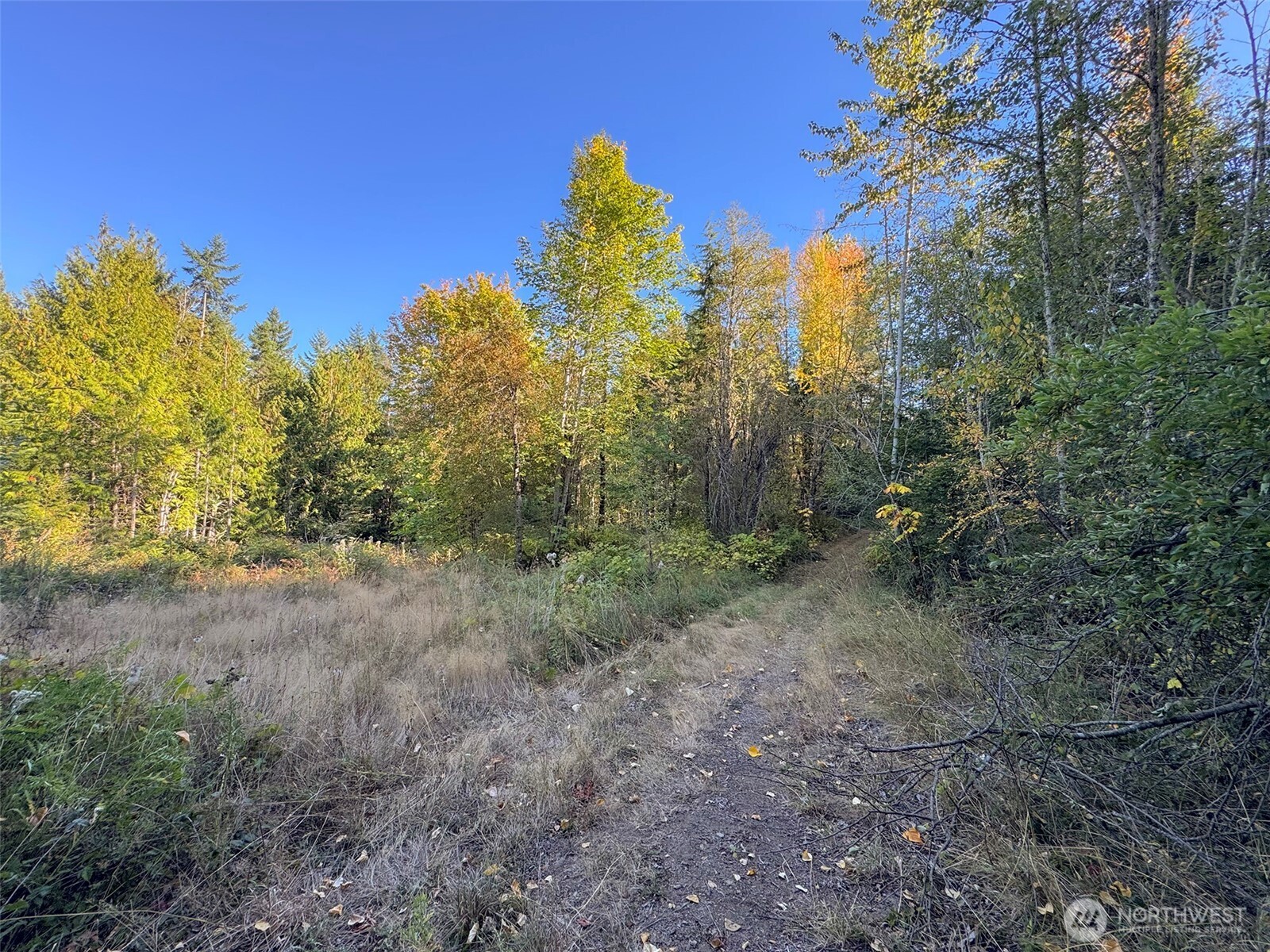 999 Chasewood Drive Property Photo 3