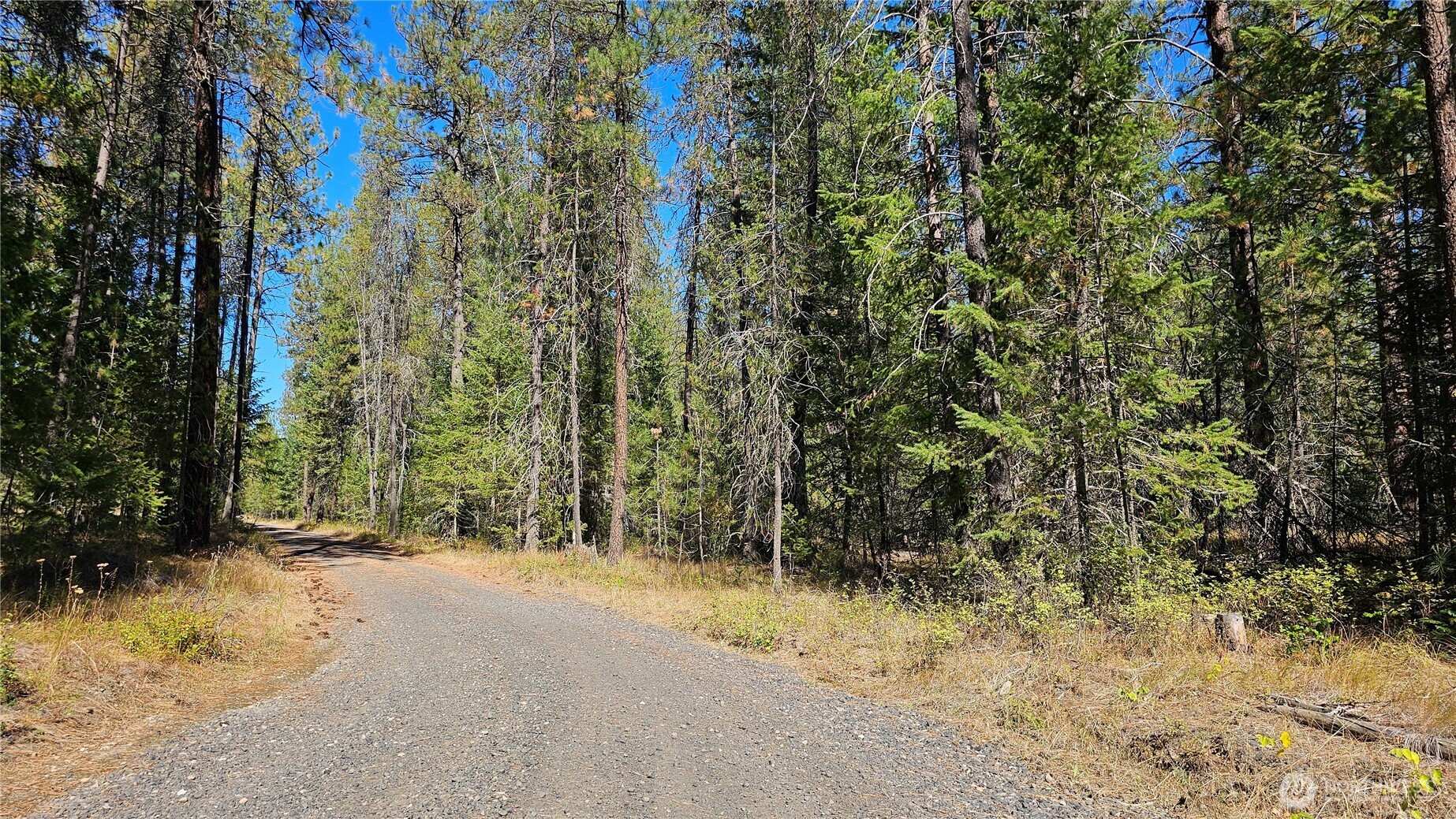 385 X Agar Road Property Photo 1