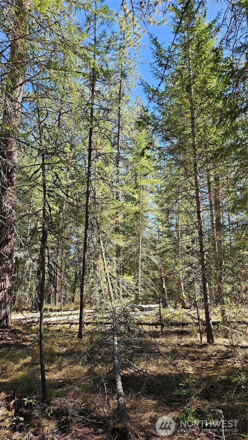 385 X Agar Road Property Photo 5
