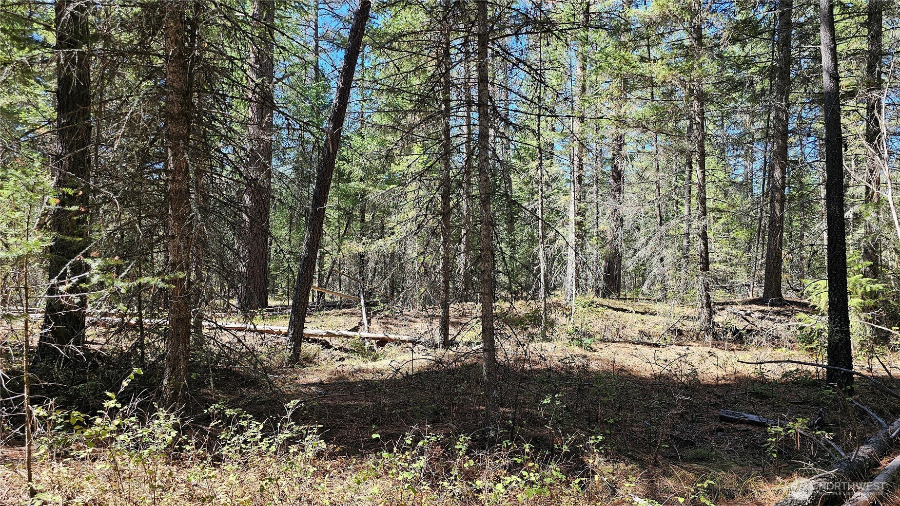 385 X Agar Road Property Photo 8