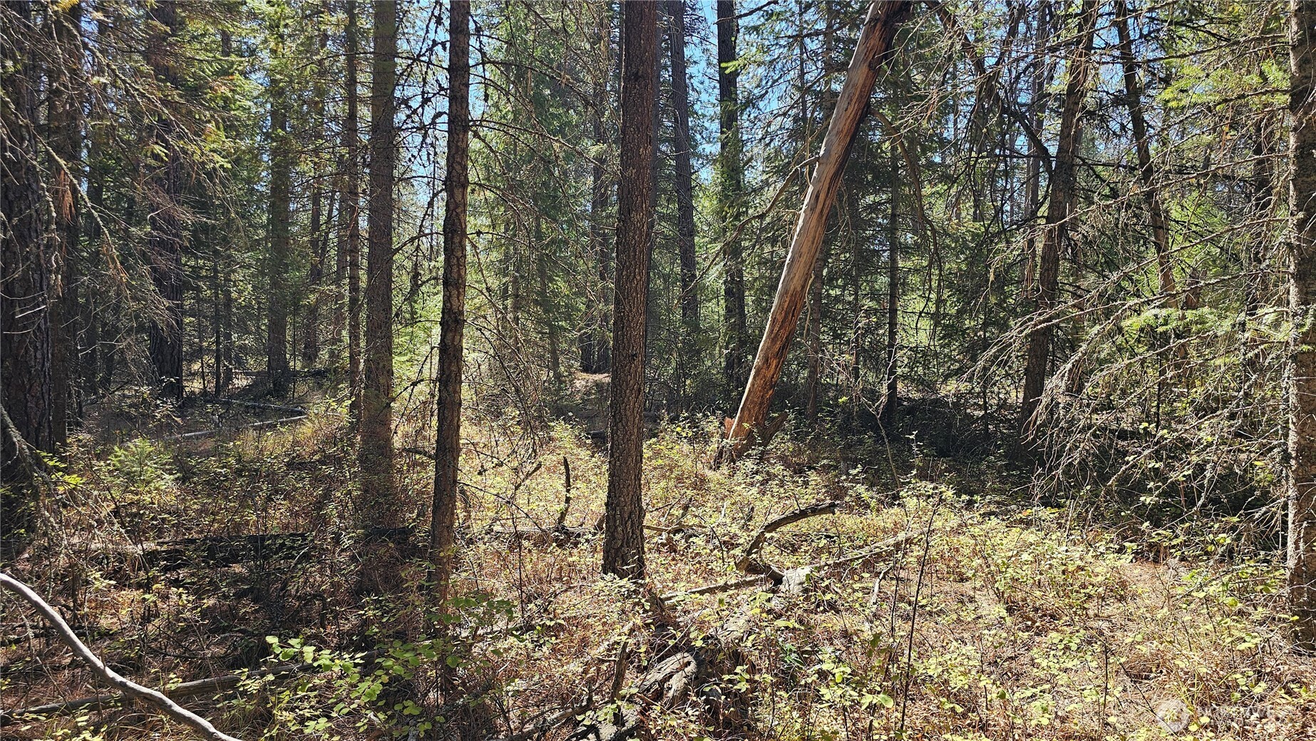 385 X Agar Road Property Photo 9