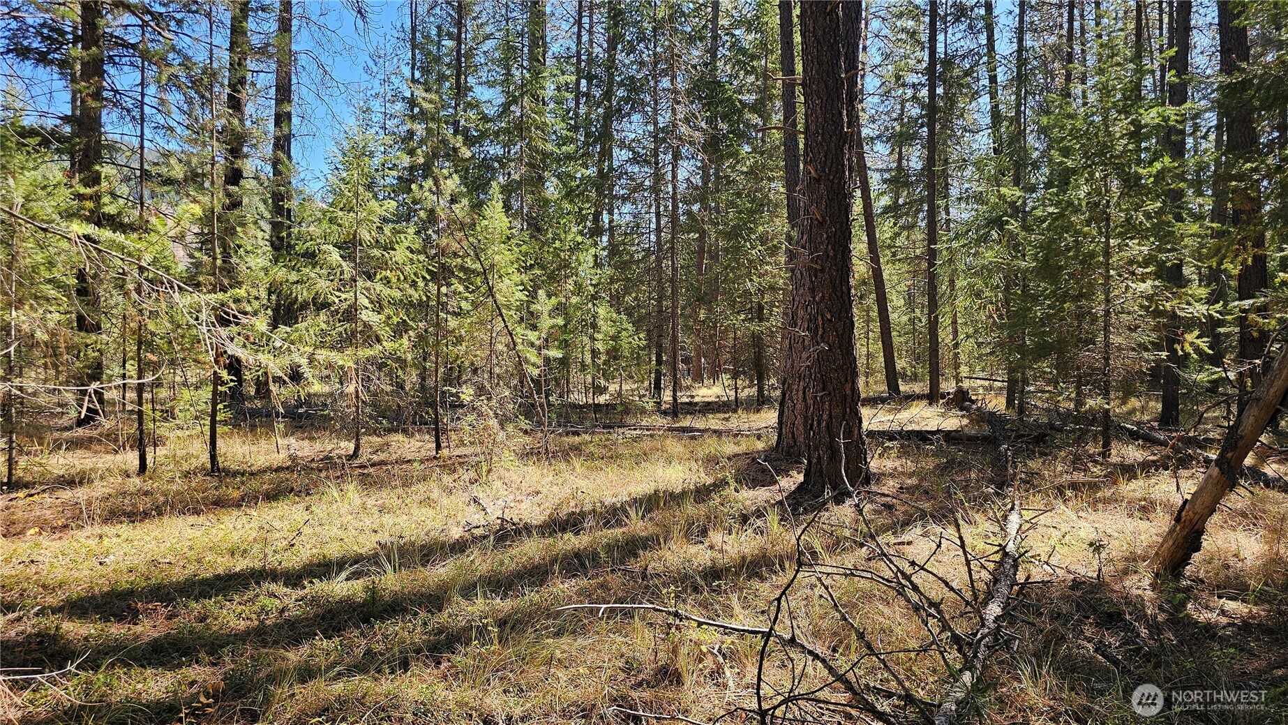 385 X Agar Road Property Photo 10