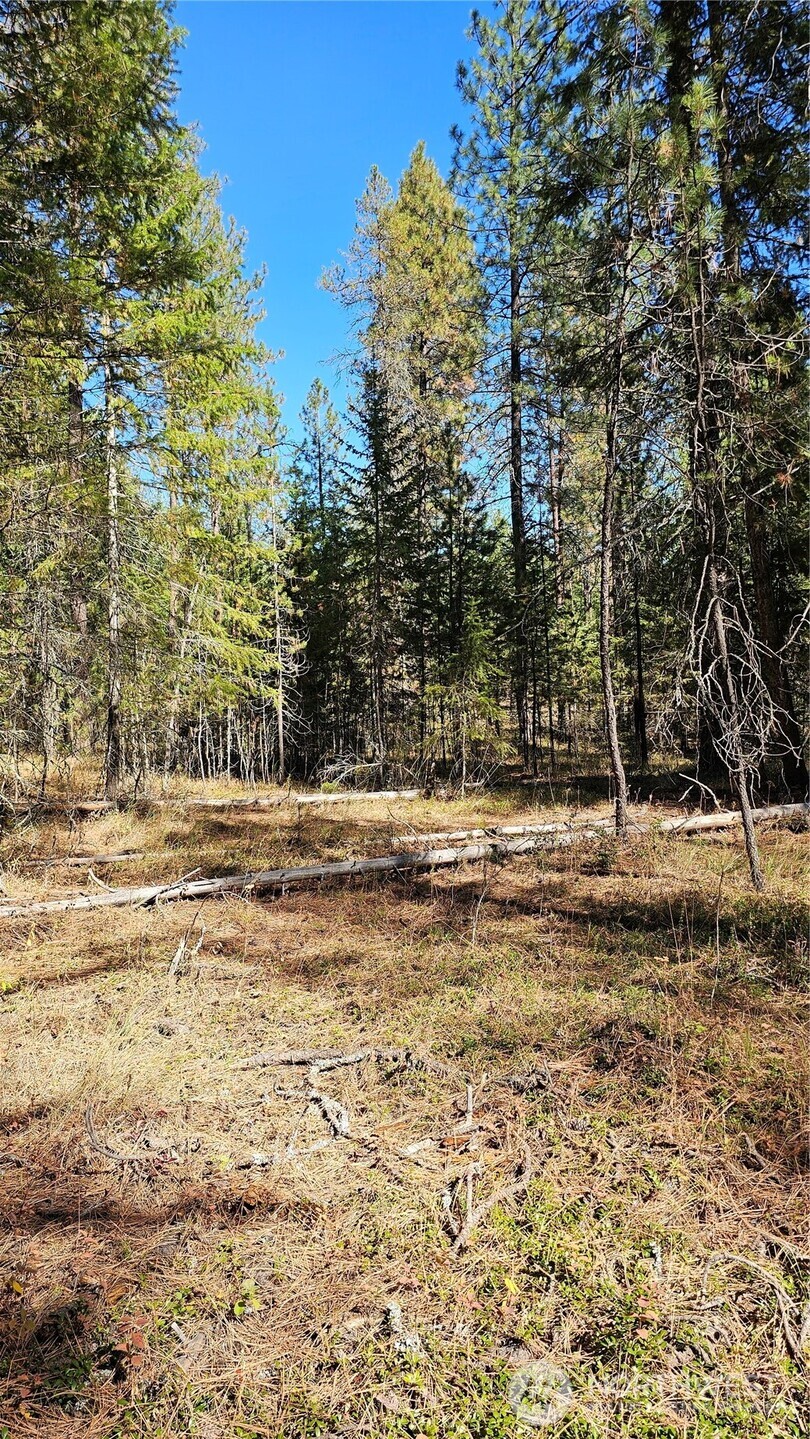 385 X Agar Road Property Photo 11